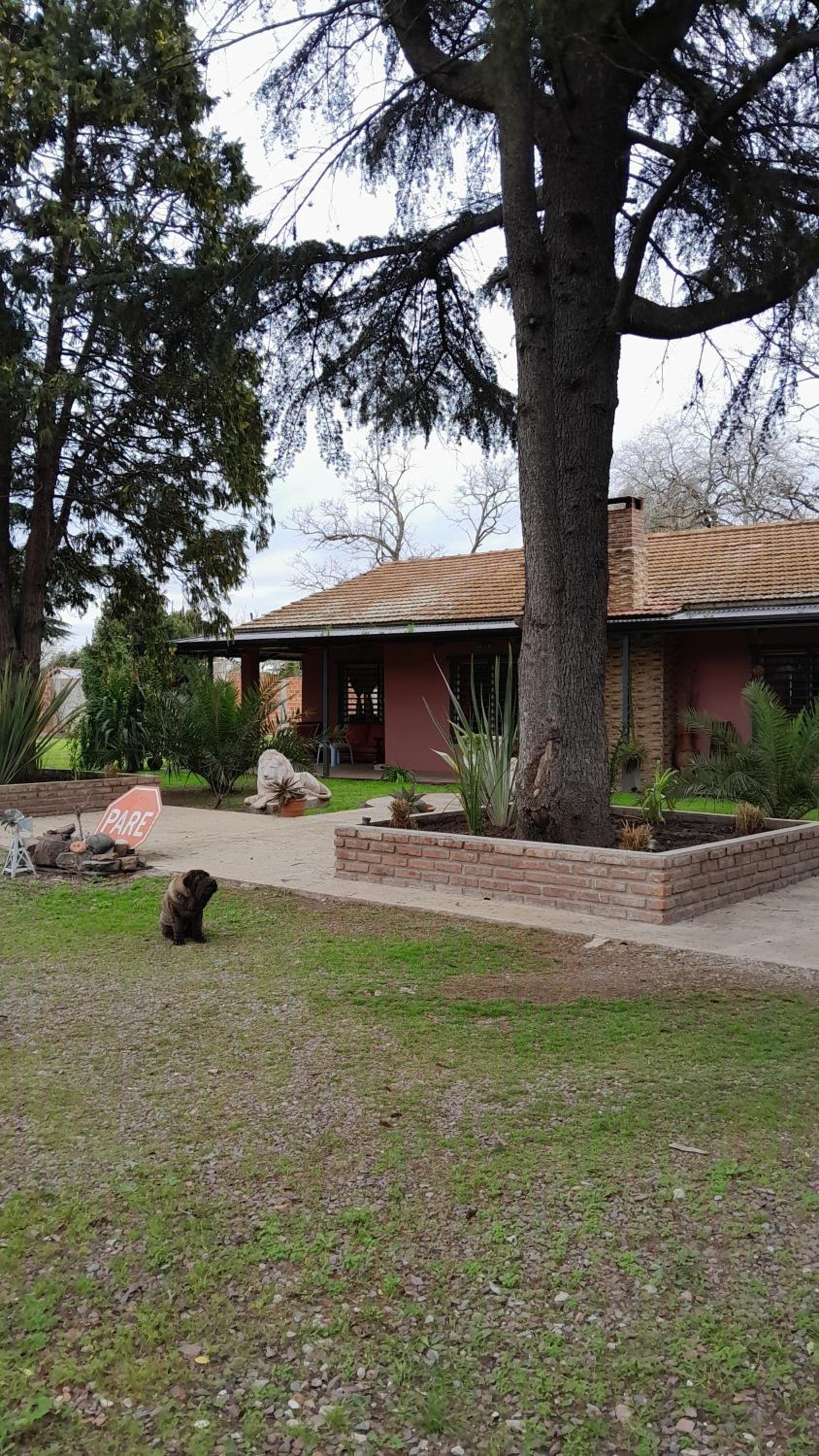 Molino Quinta
