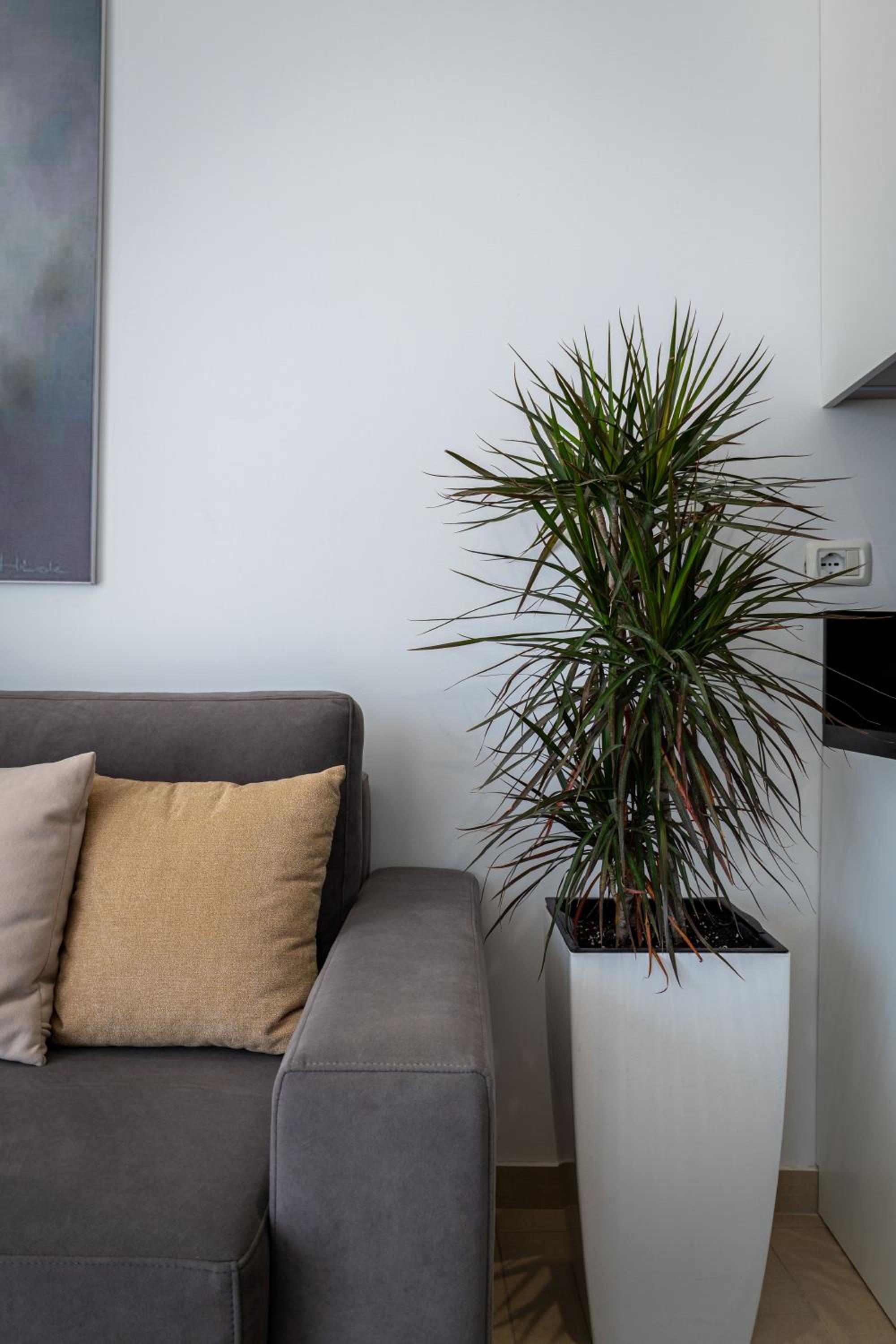 Domi Luxury beach view apartments in Saranda