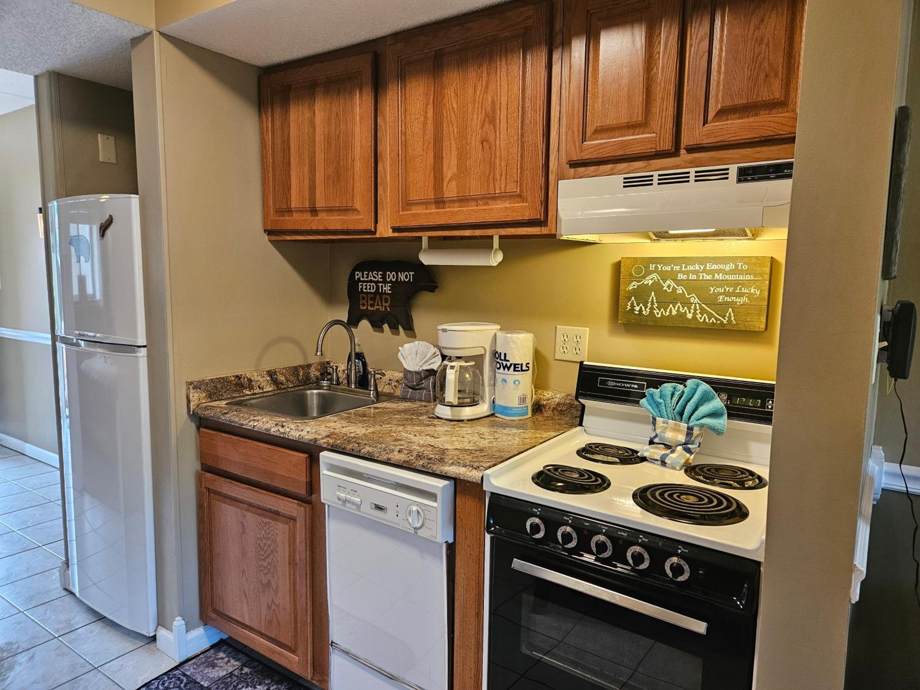 Condo 202 Olde Gatlinburg Place view 4