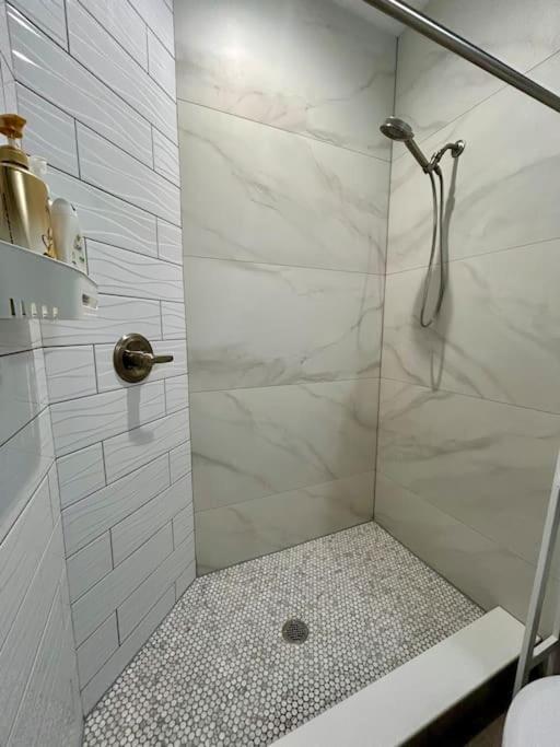 4 Bedroom House Near Downtown Tampa Sleeps 12 Pool Private Patio Pet Friendly view 5