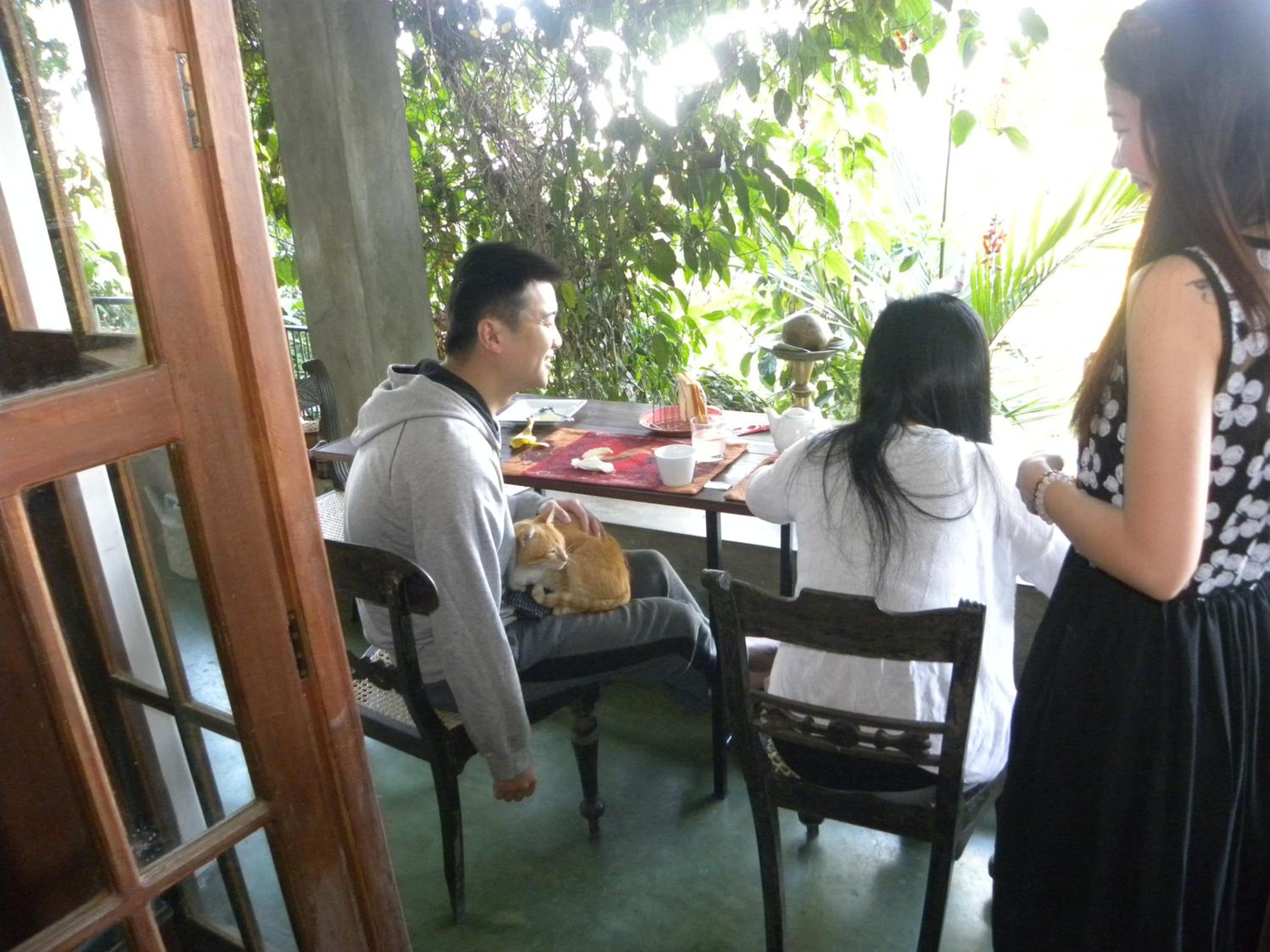 Pekoetrails Hantana Homestay