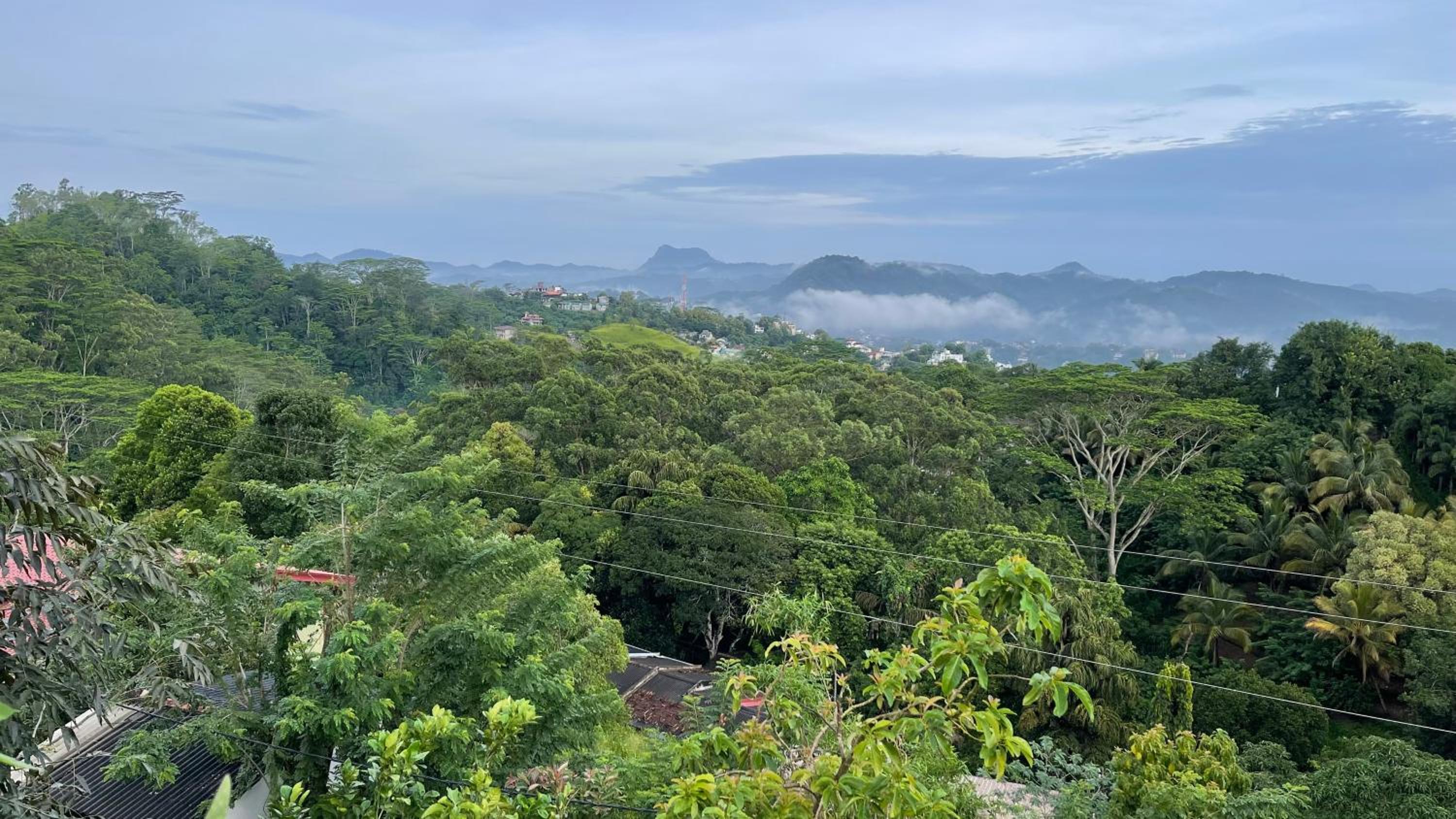 Pekoetrails Hantana Homestay