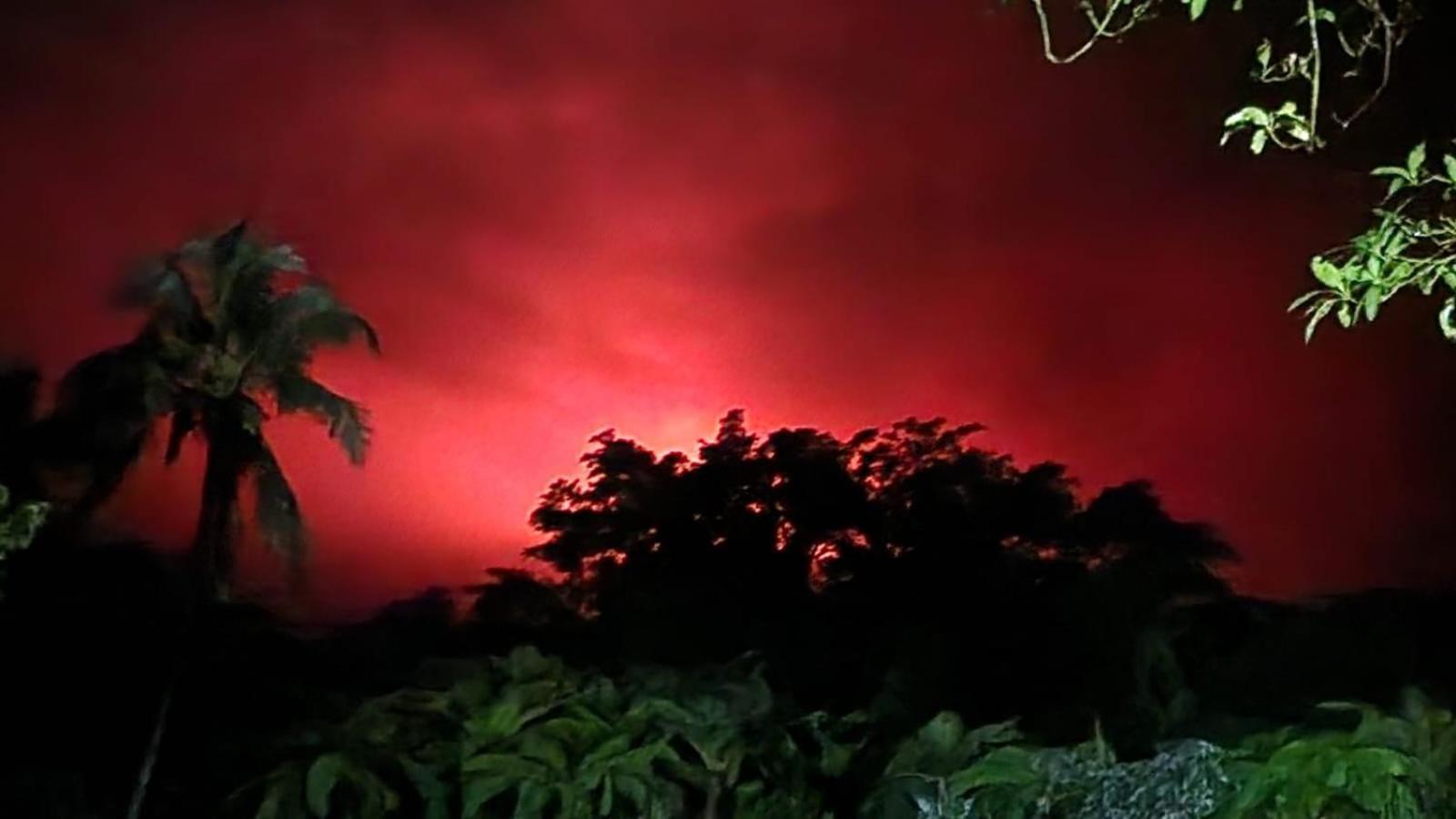 Tanna Volcano View Tree House view 2