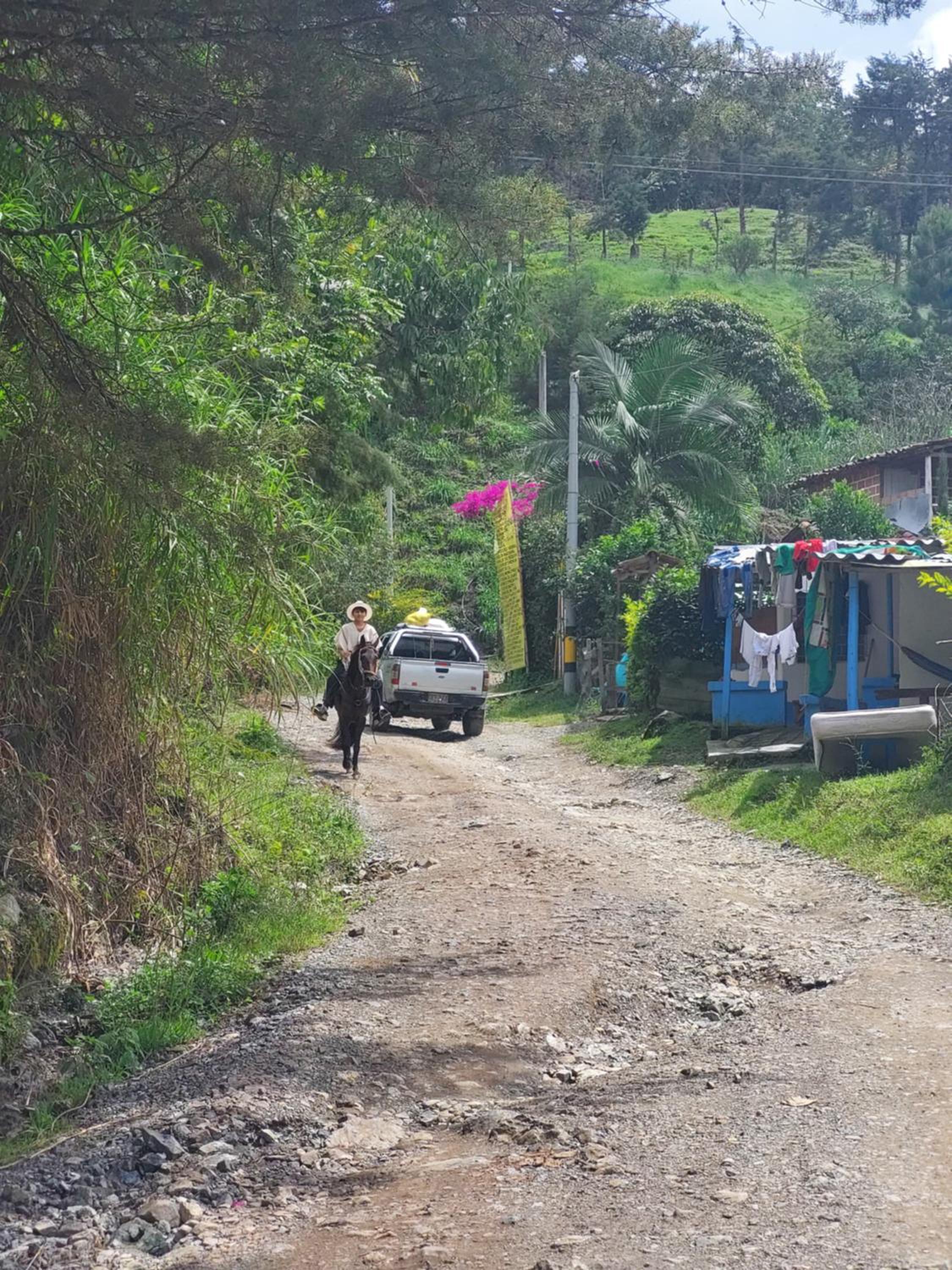Finca La Gabriela