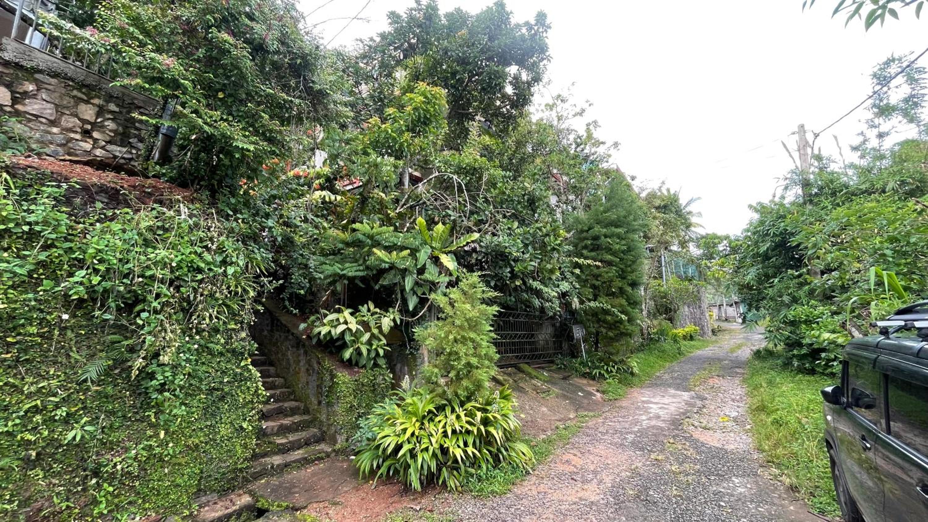 Pekoetrails Hantana Homestay
