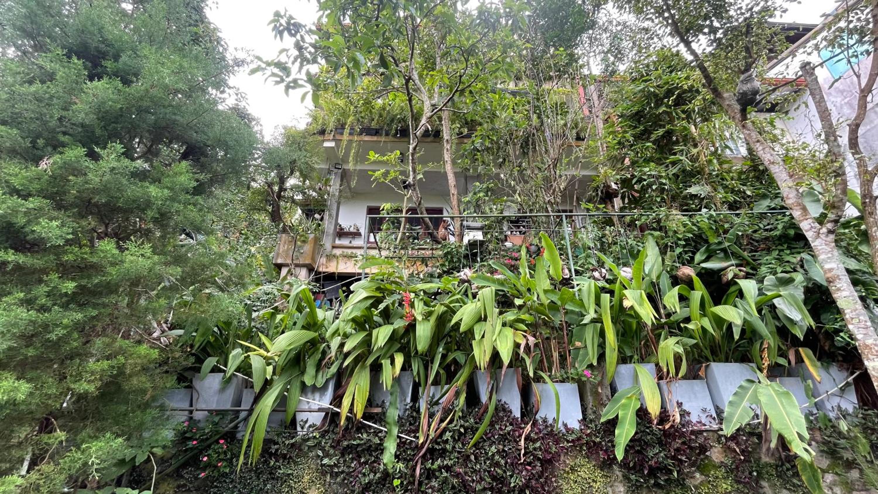 Pekoetrails Hantana Homestay