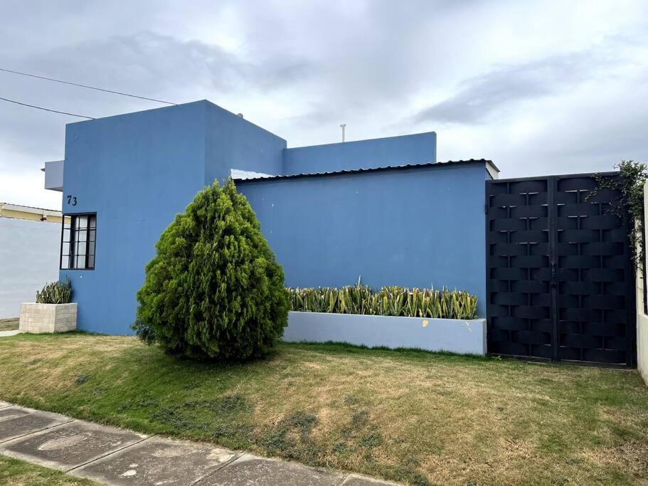 Oasis Urbano en Managua view 5