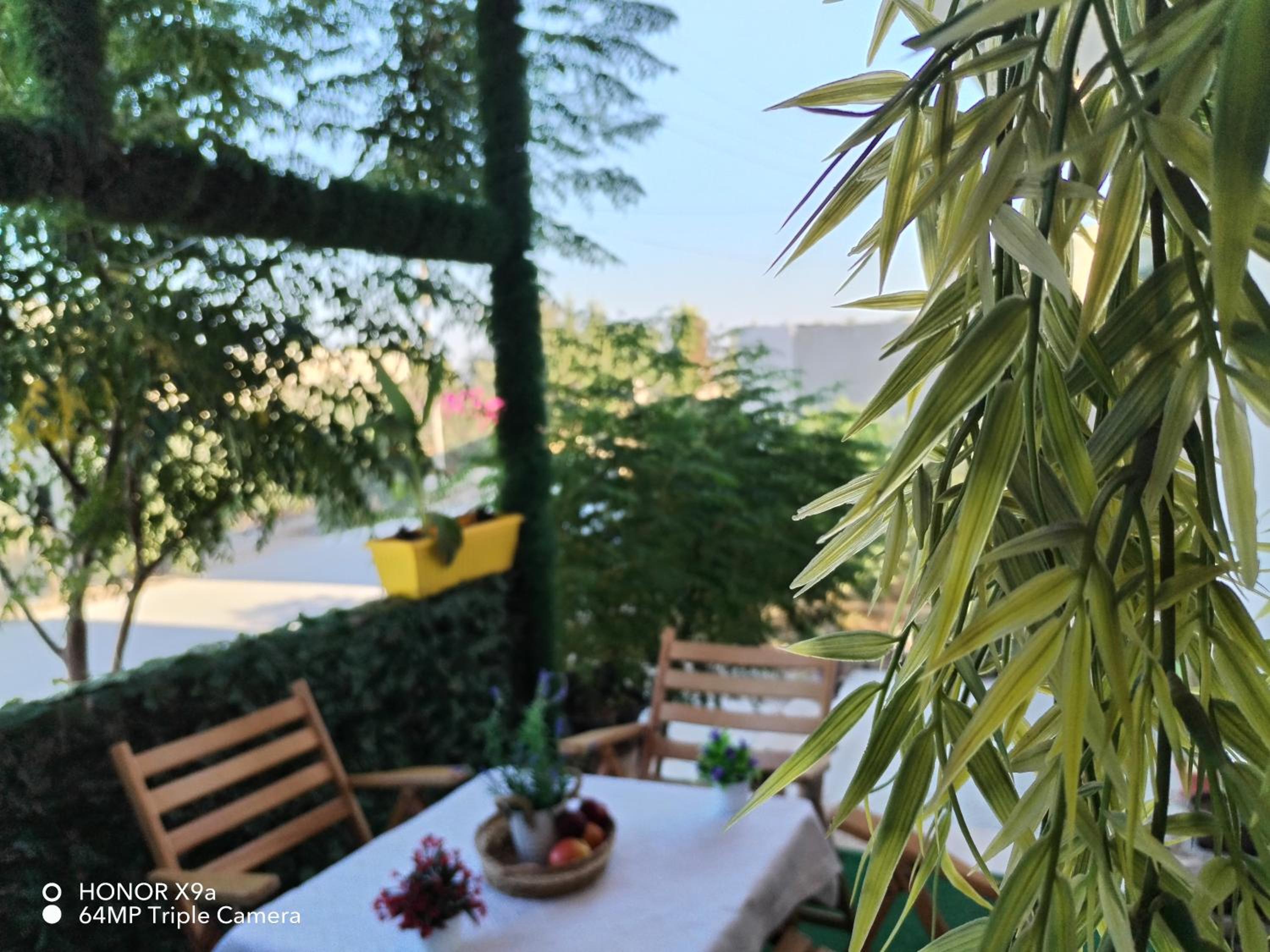Seleucia DaR Umm Qais view 4