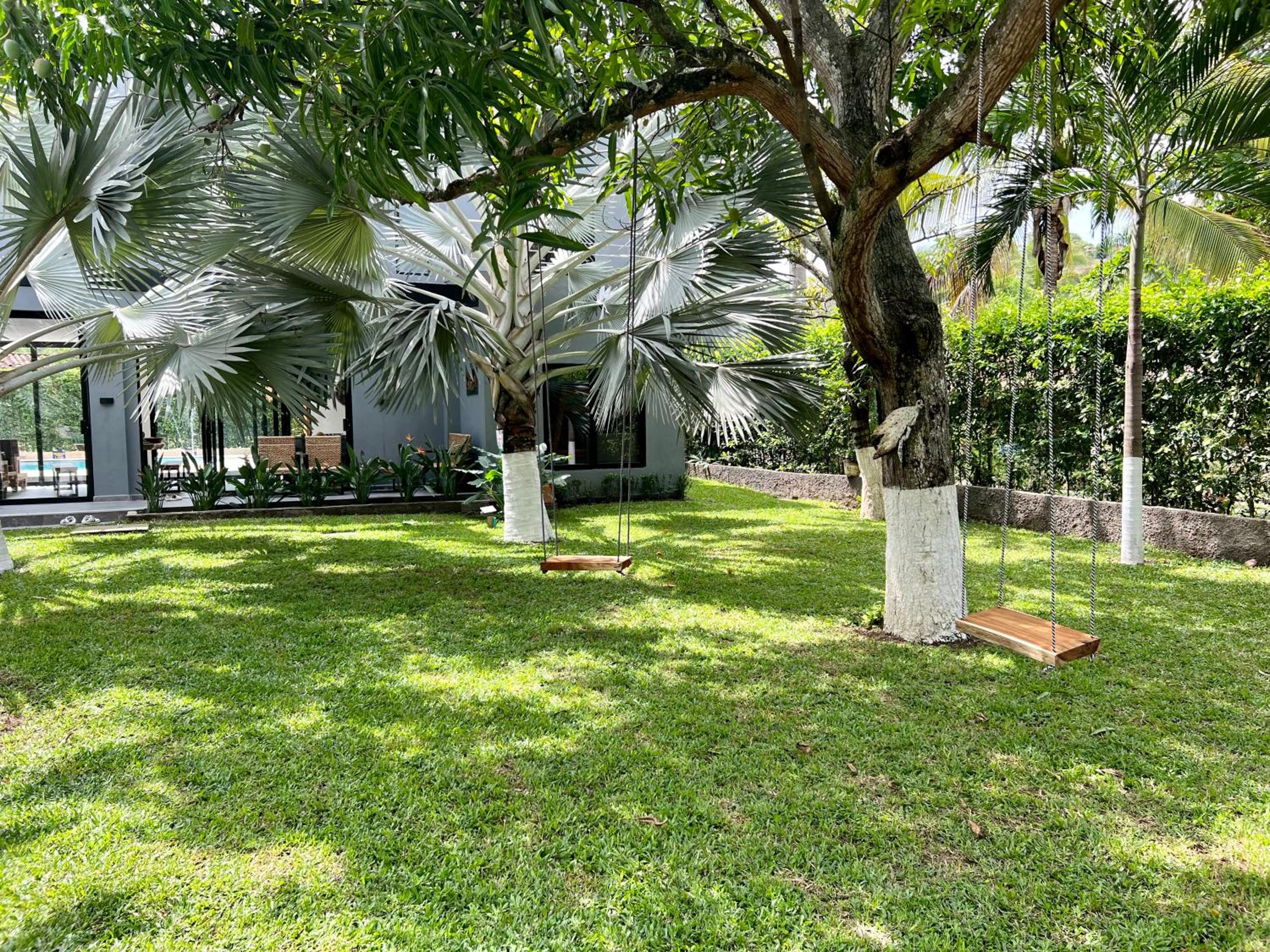 Photo 18
