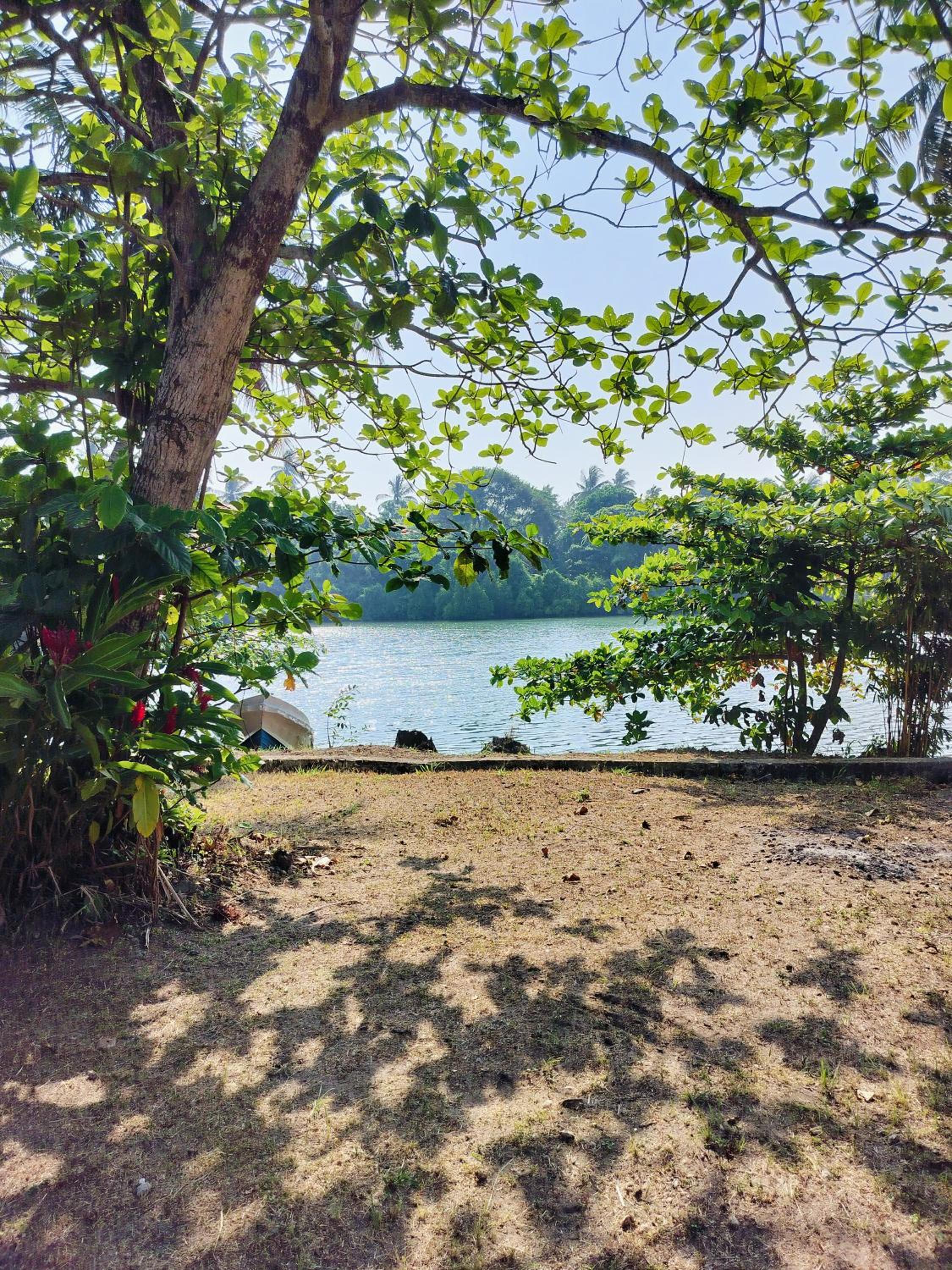 River Cottage Hikkaduwa view 5