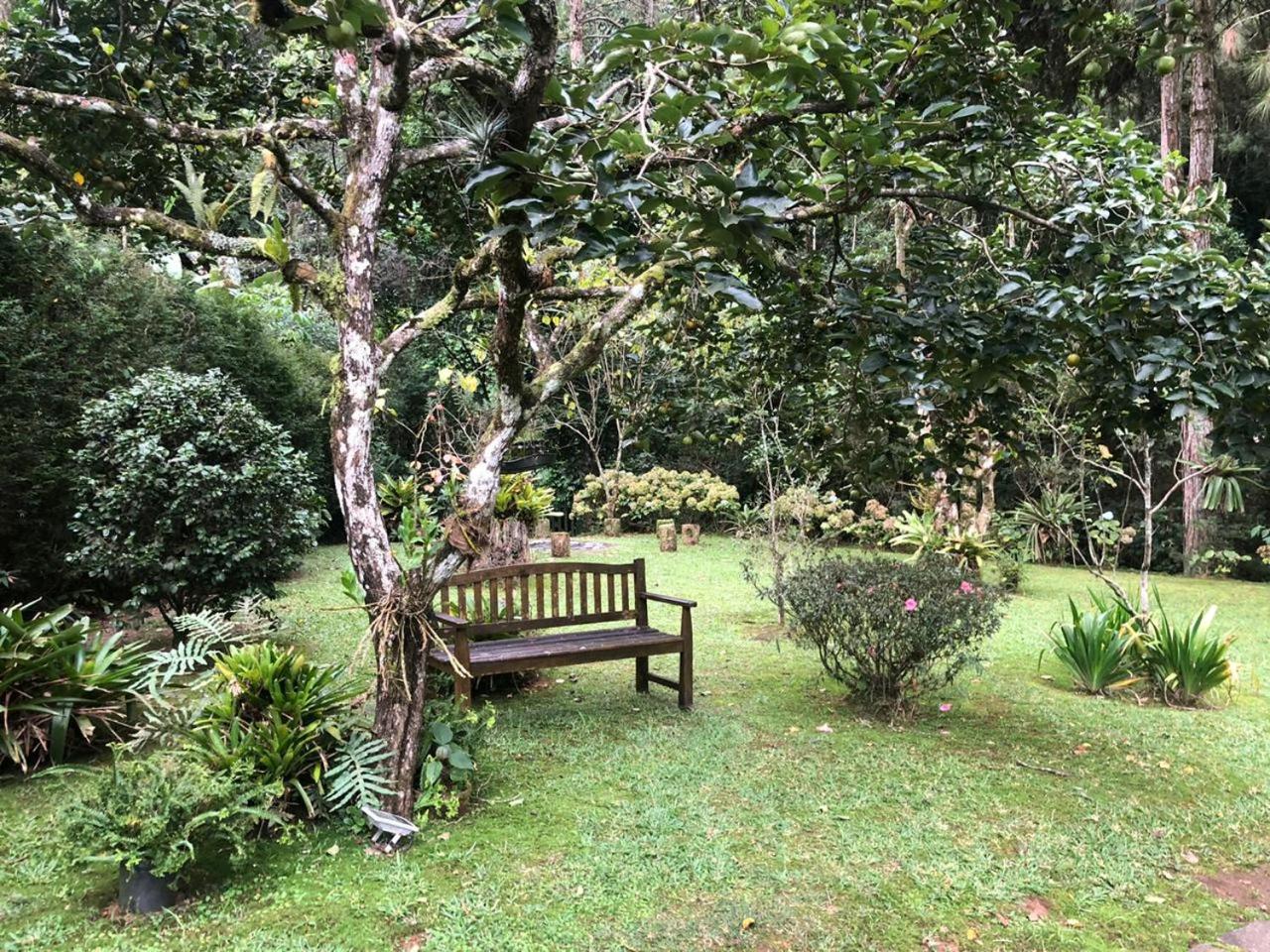 SITIO SIMPLESMENTE DEMAIS