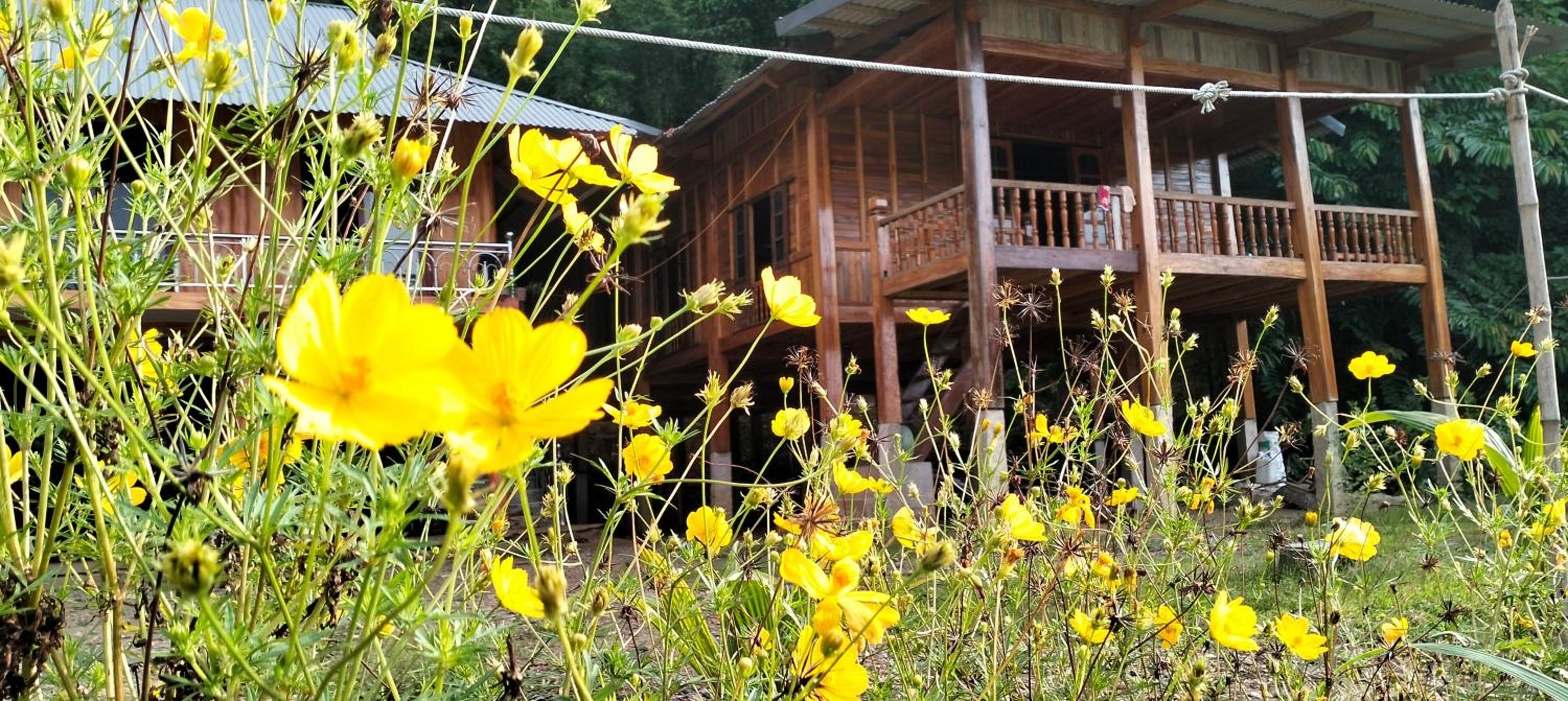 Bảo lộc homestay view 4
