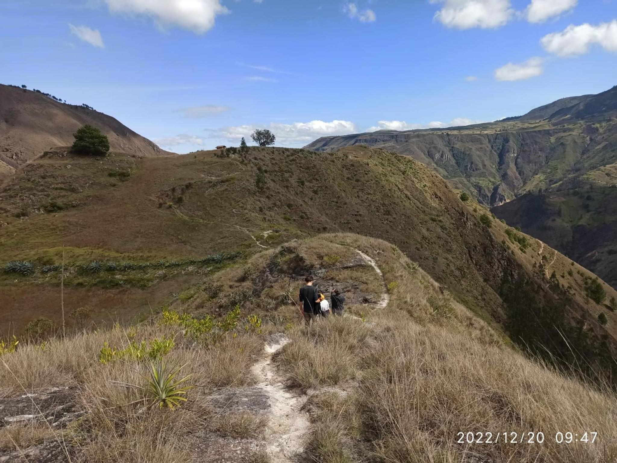 Taski Wasi Mirador del Cóndor Andino