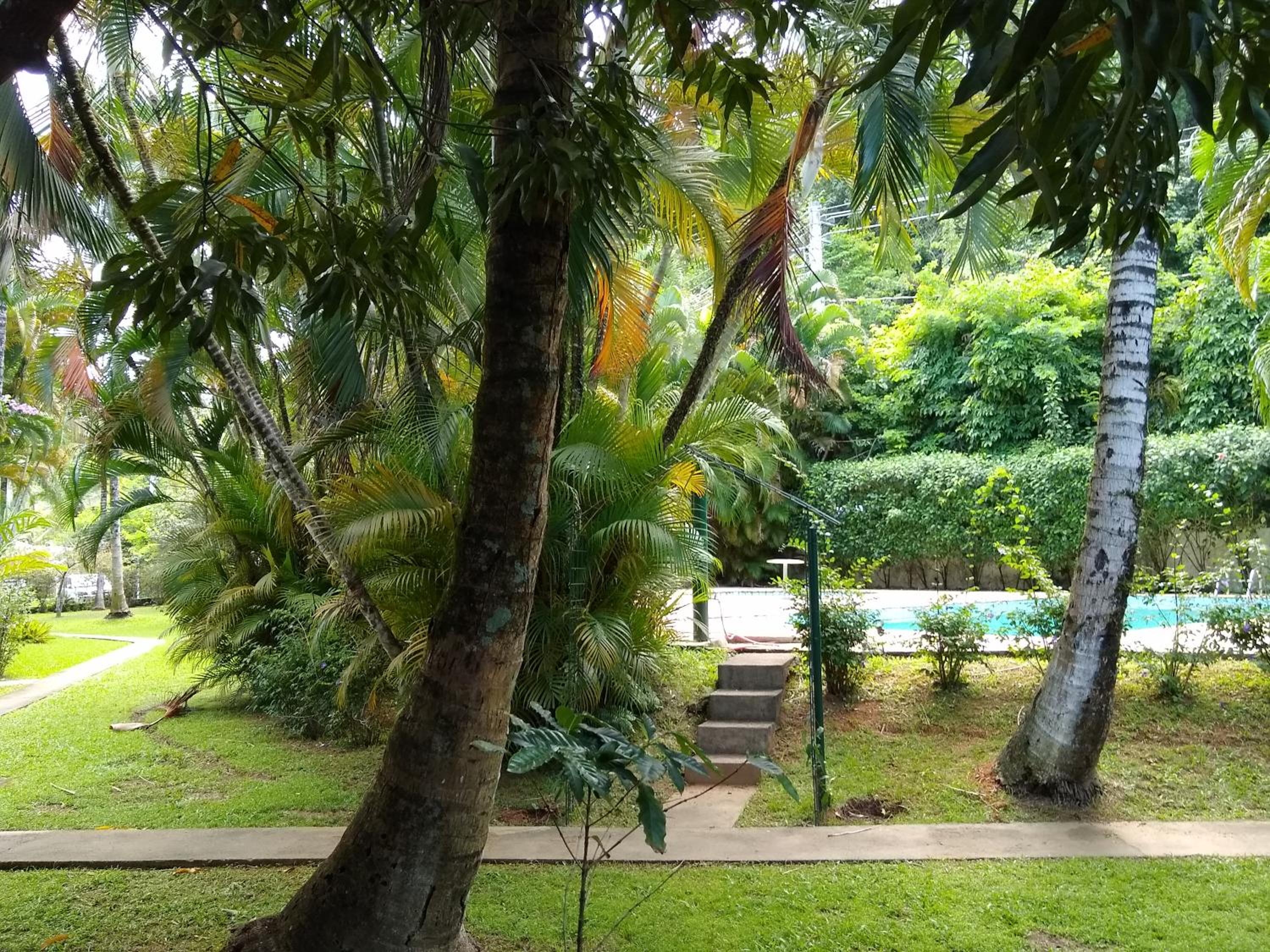 Paraiso no Guaeca