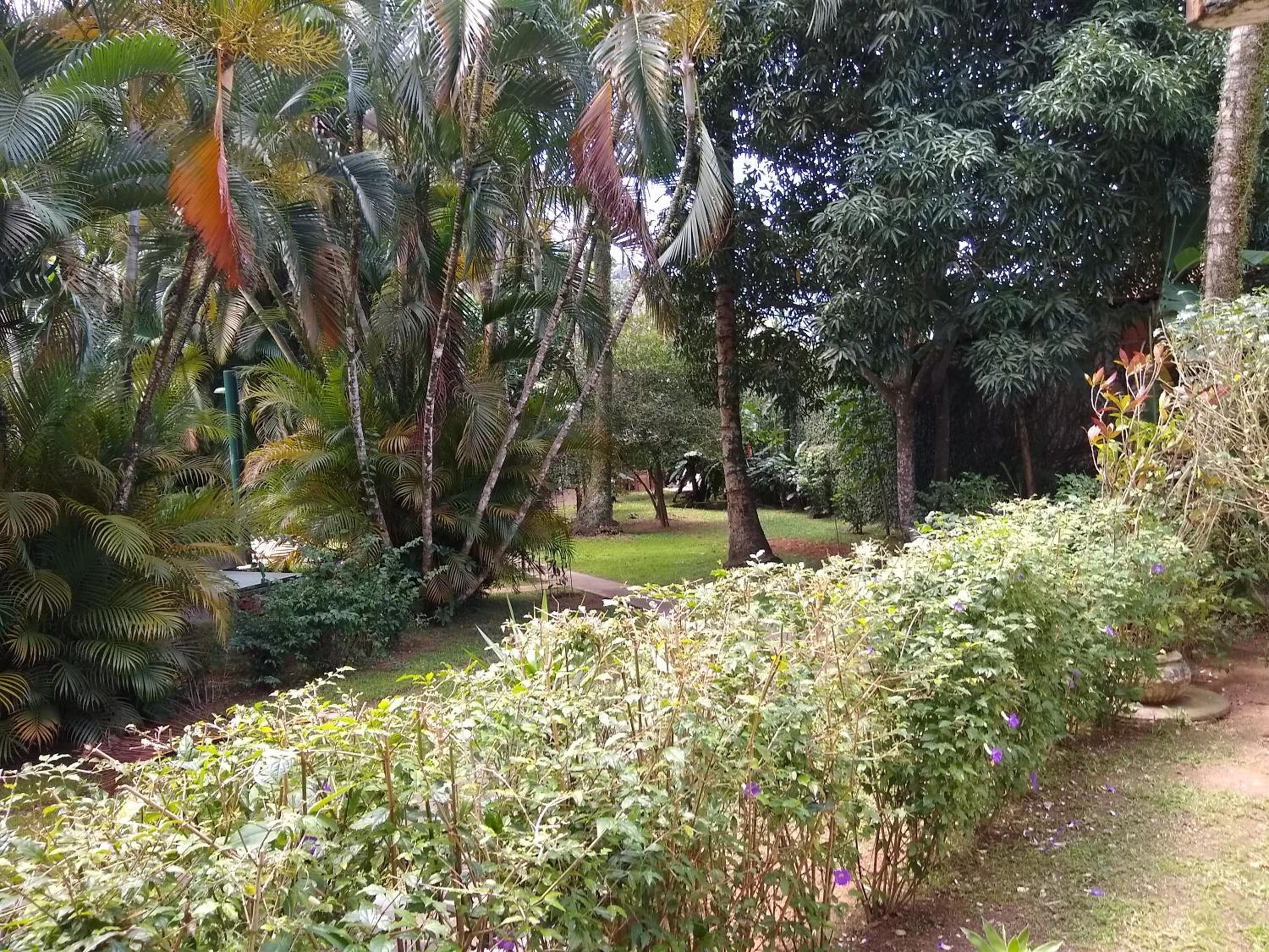 Paraiso no Guaeca