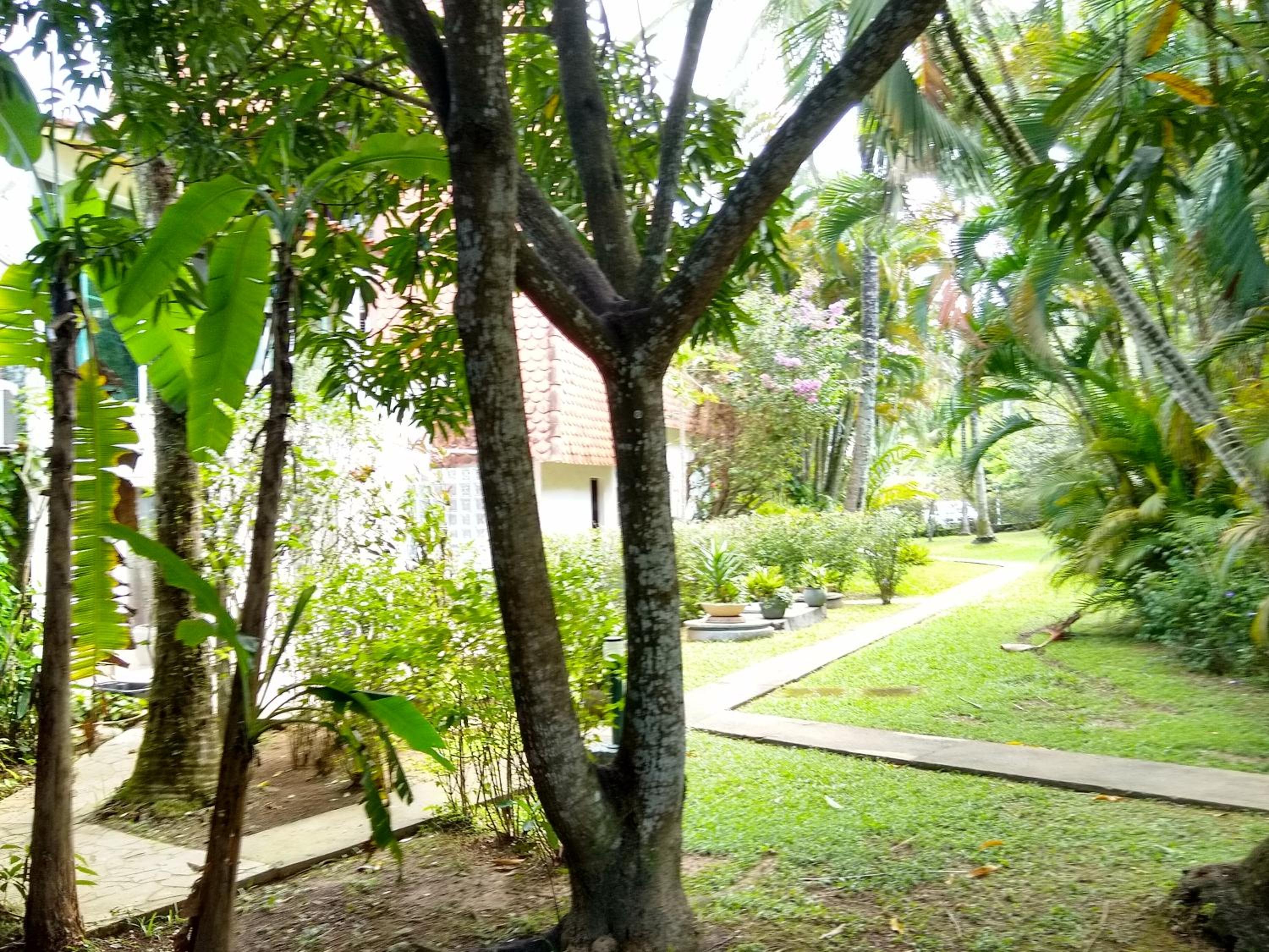 Paraiso no Guaeca