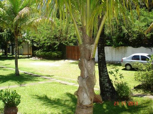 Paraiso no Guaeca