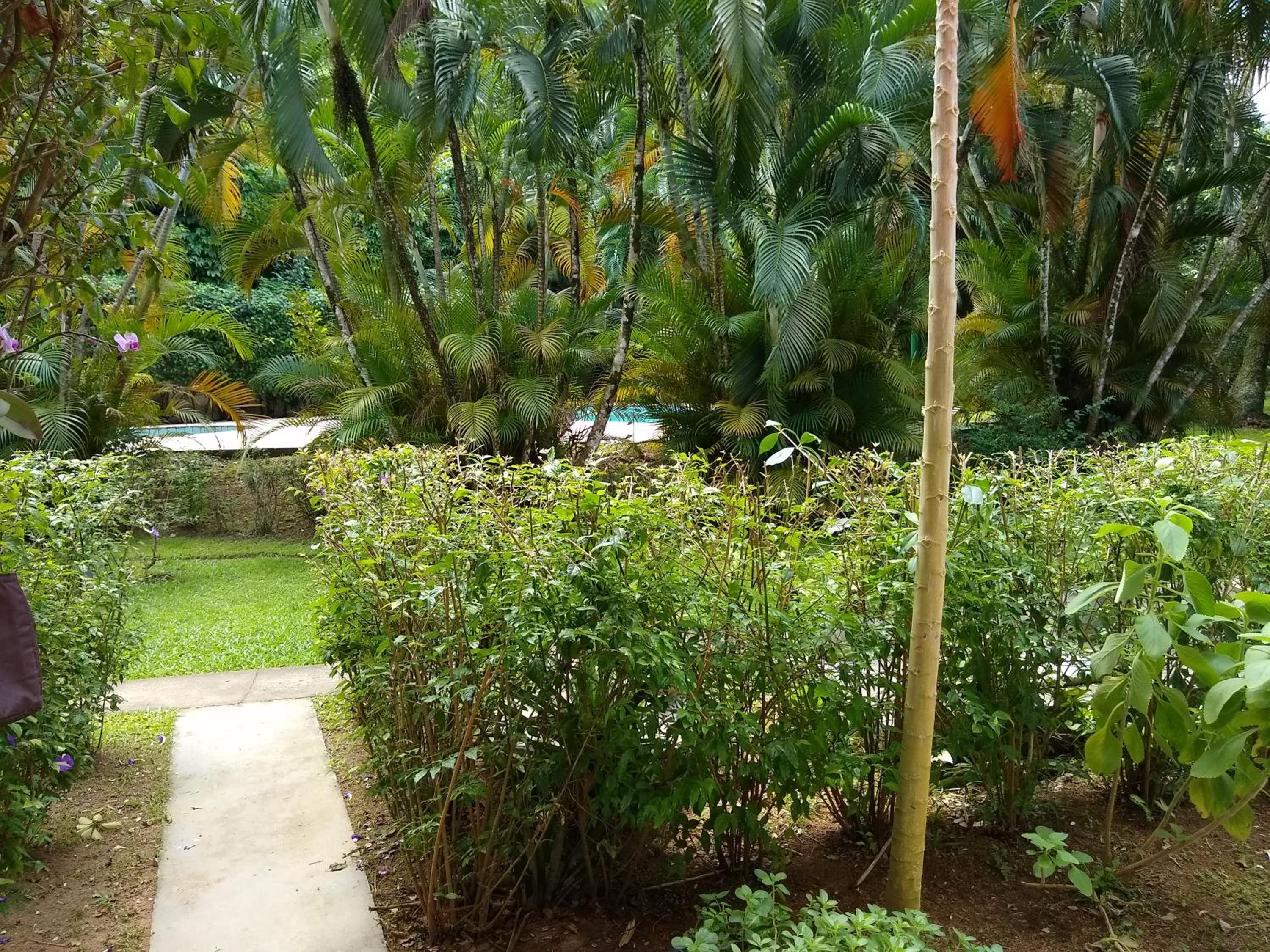 Paraiso no Guaeca