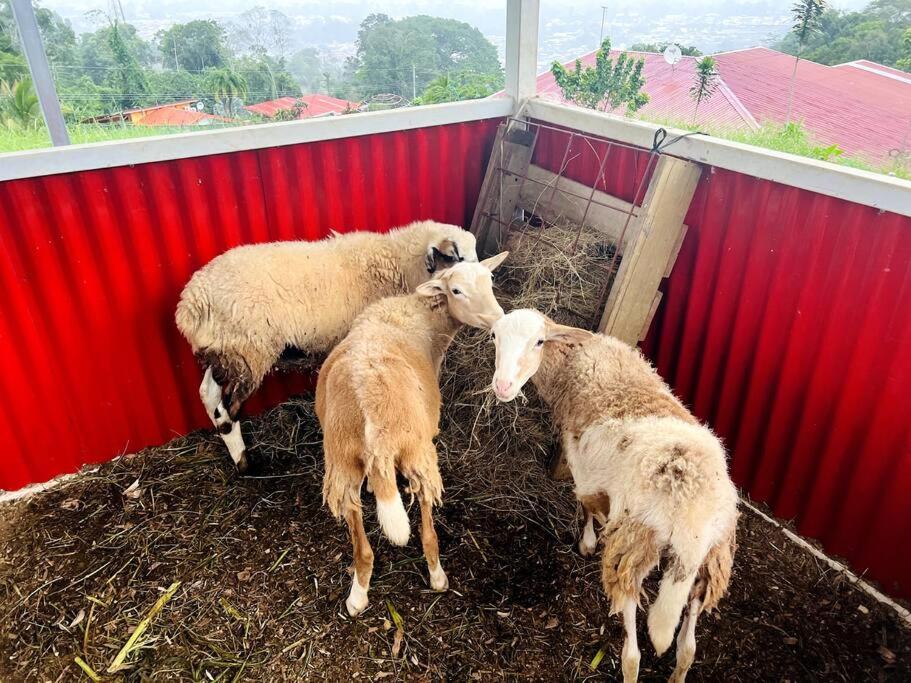 Cabaña Romántica en la Montaña
