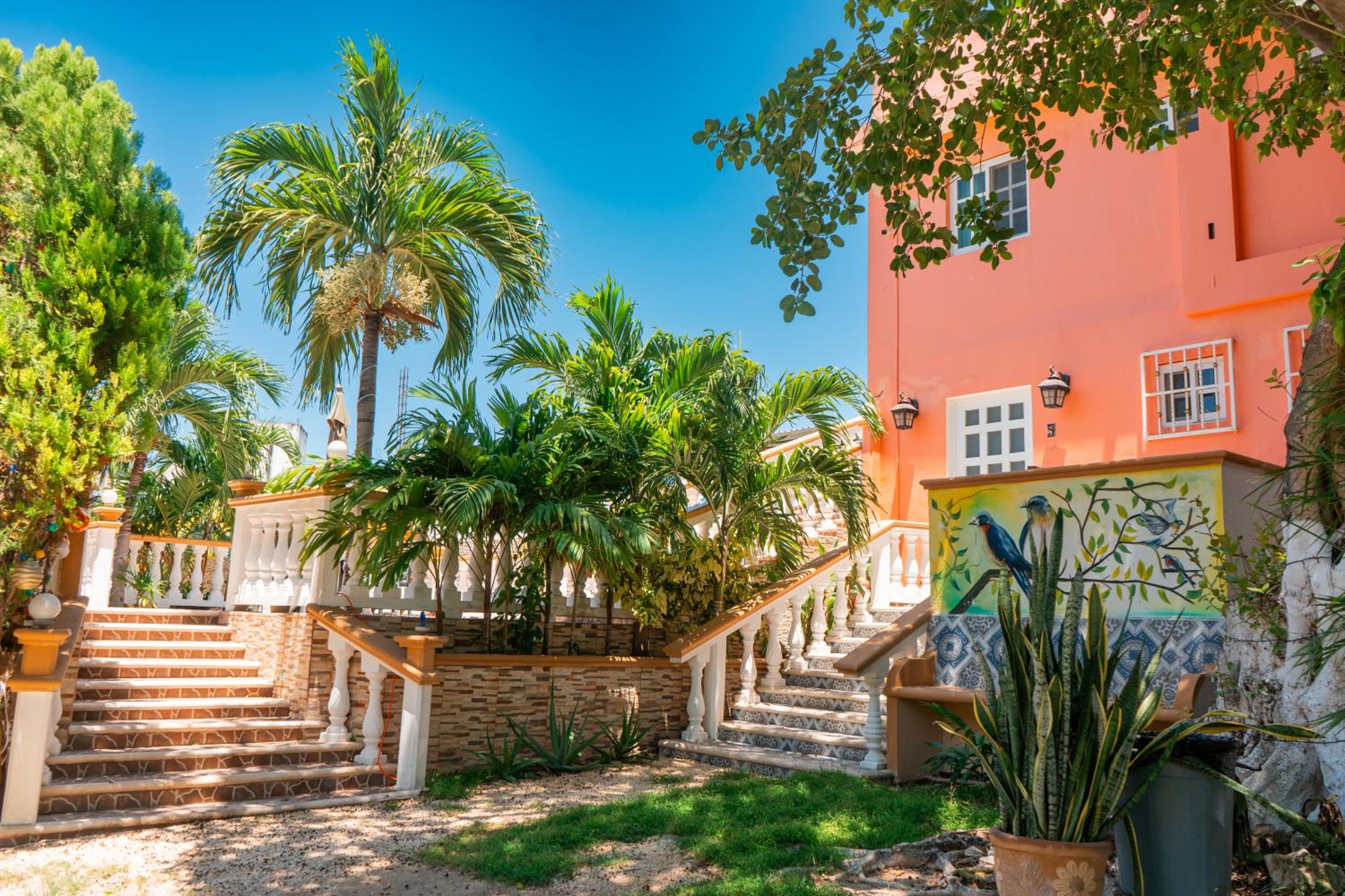 Villa Pajaros, photo 43
