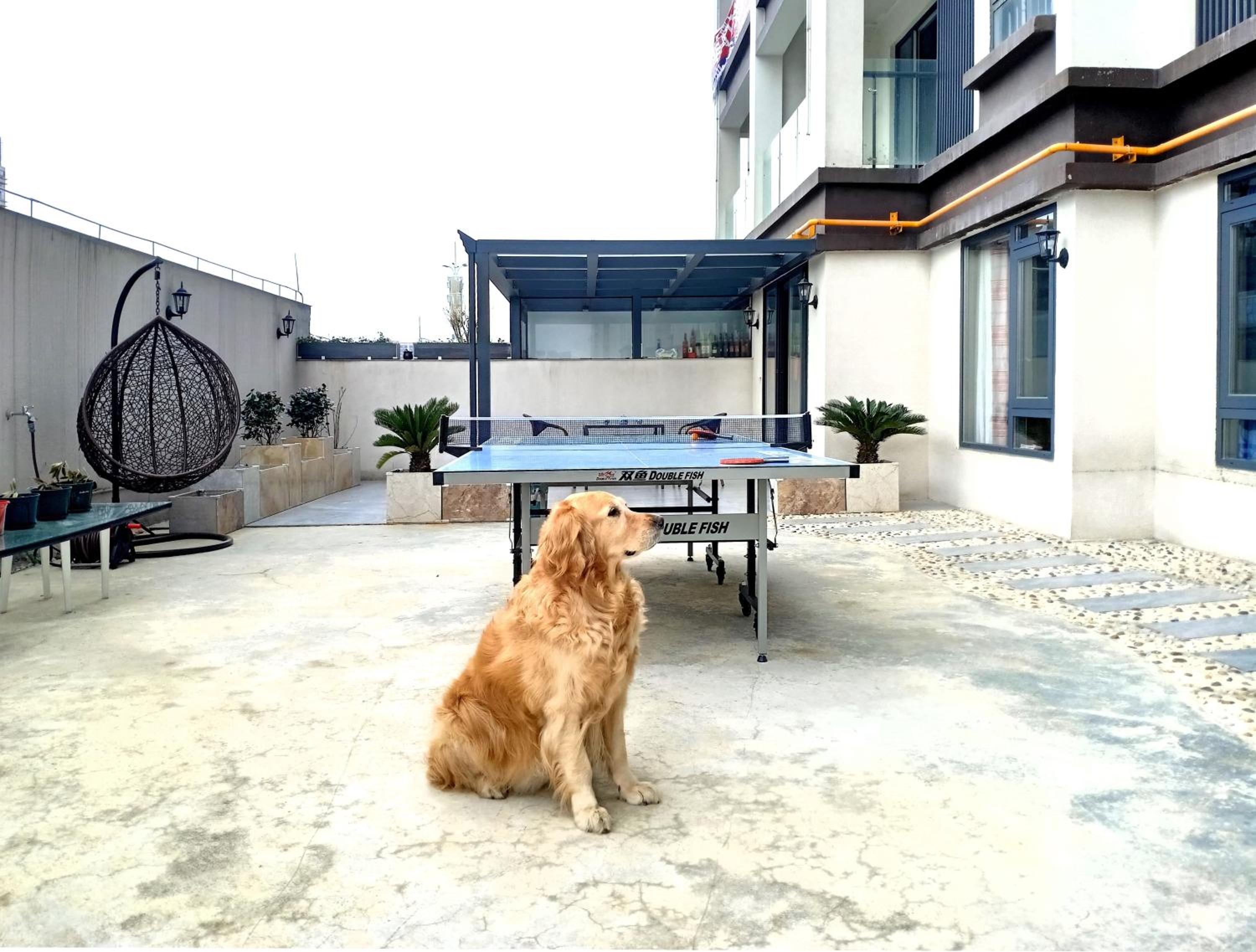 Tao's Inn Guiyang