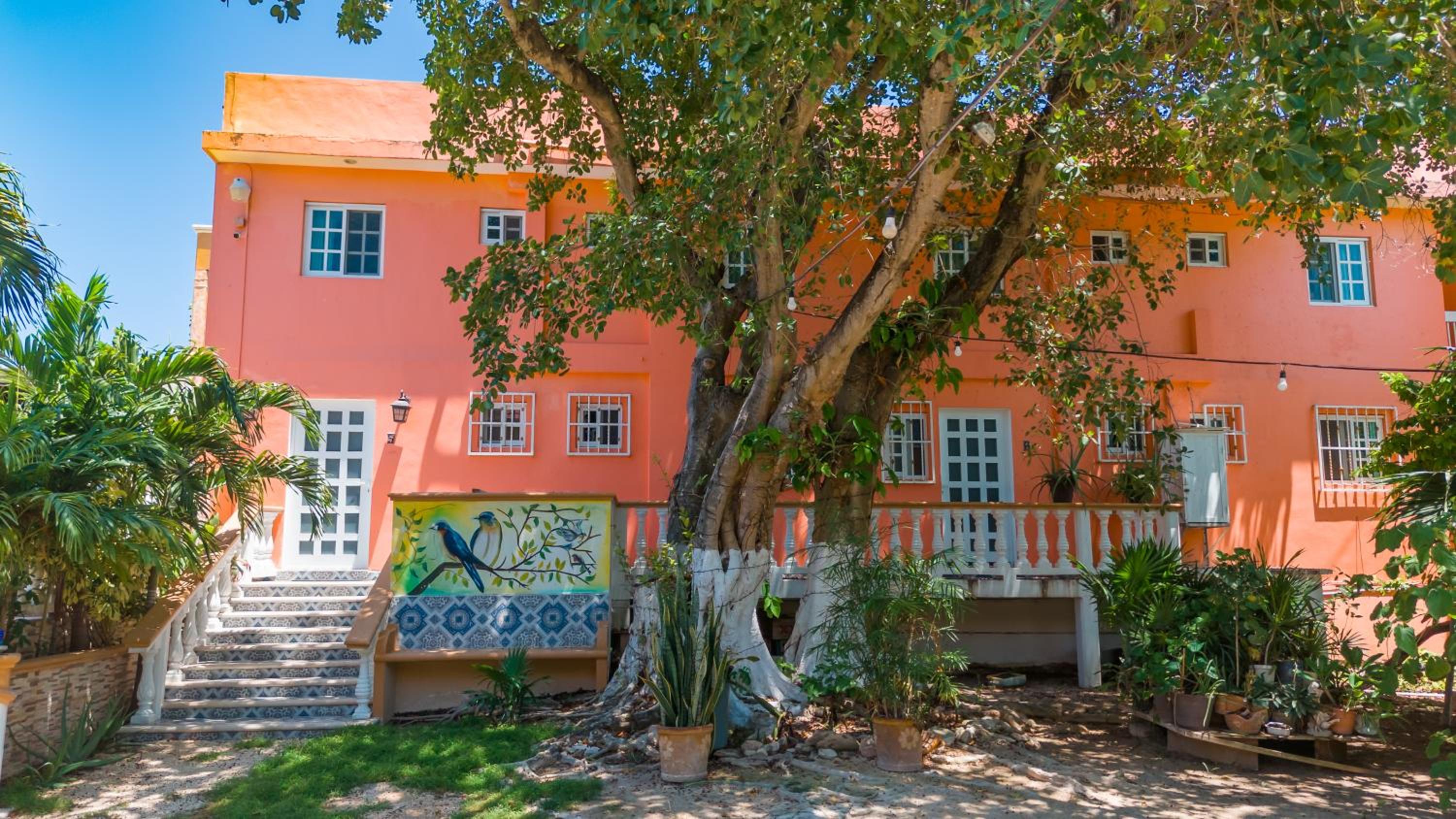 Villa Pajaros, photo 47