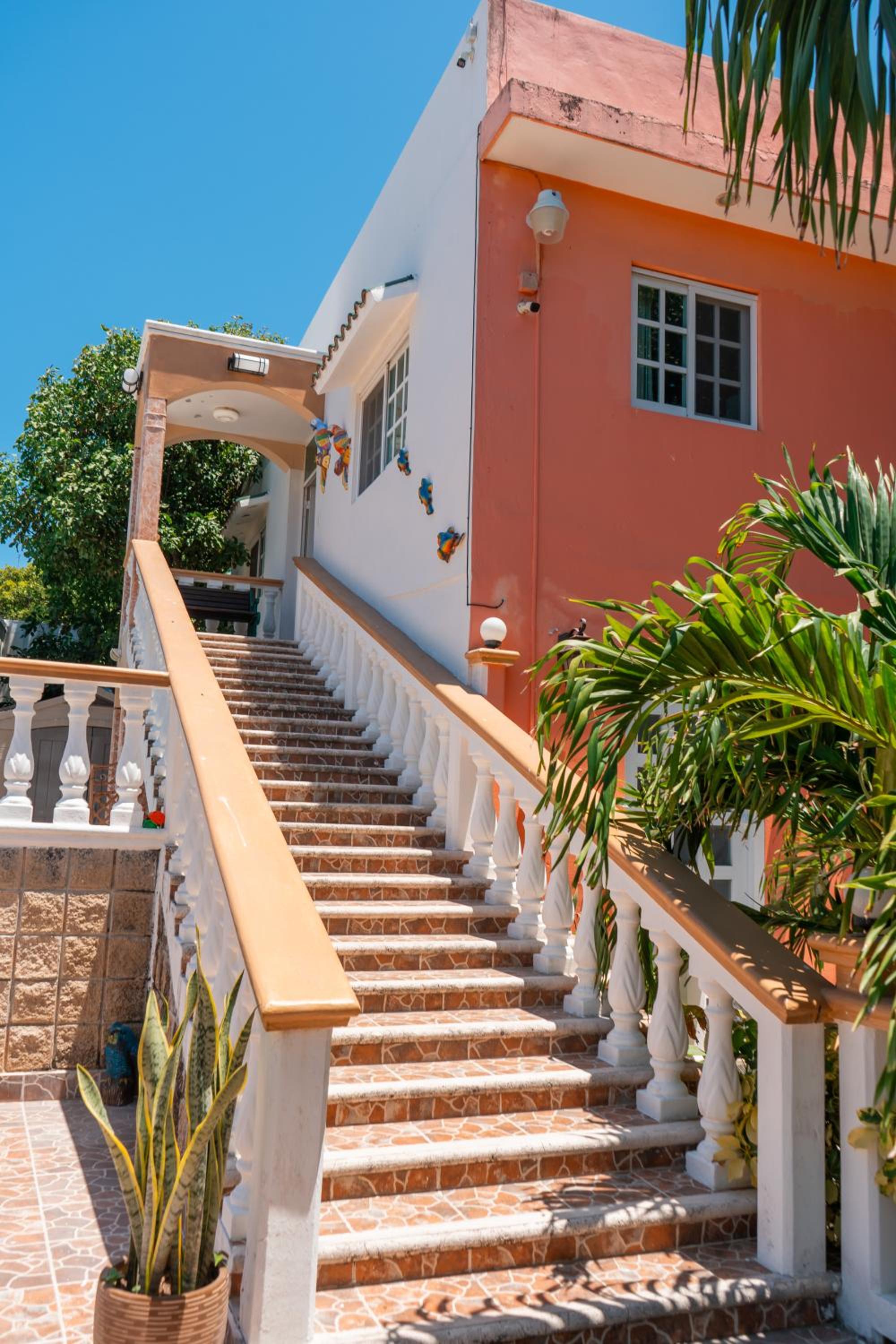 Villa Pajaros, photo 14