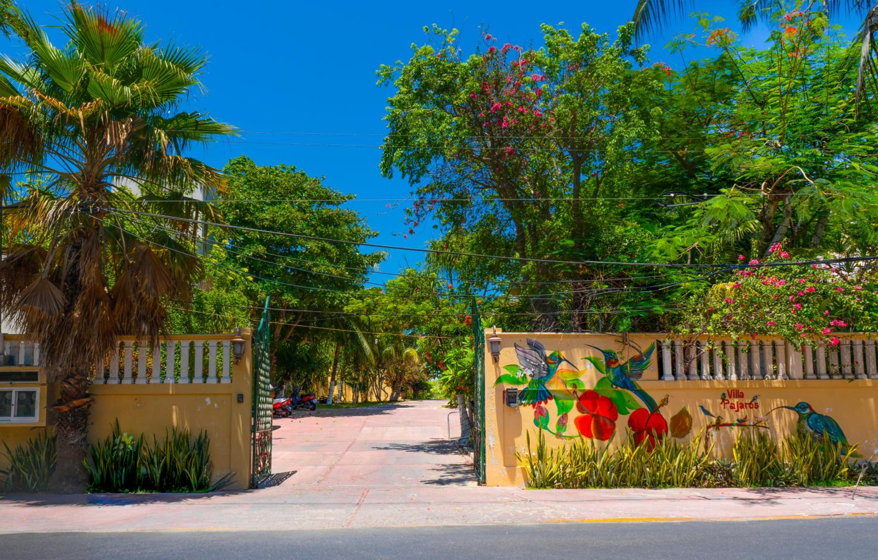 Villa Pajaros, photo 96
