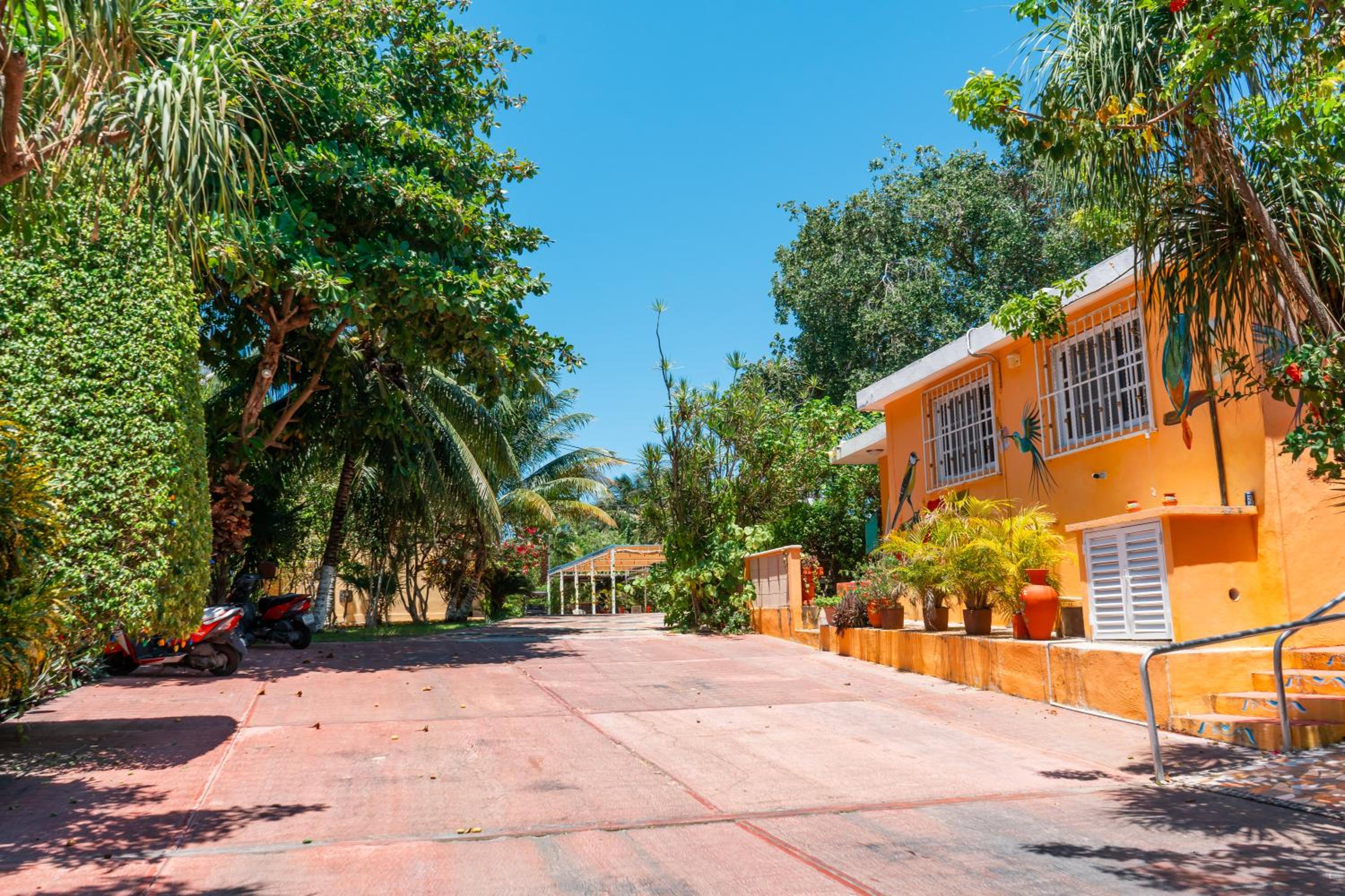 Villa Pajaros, photo 75
