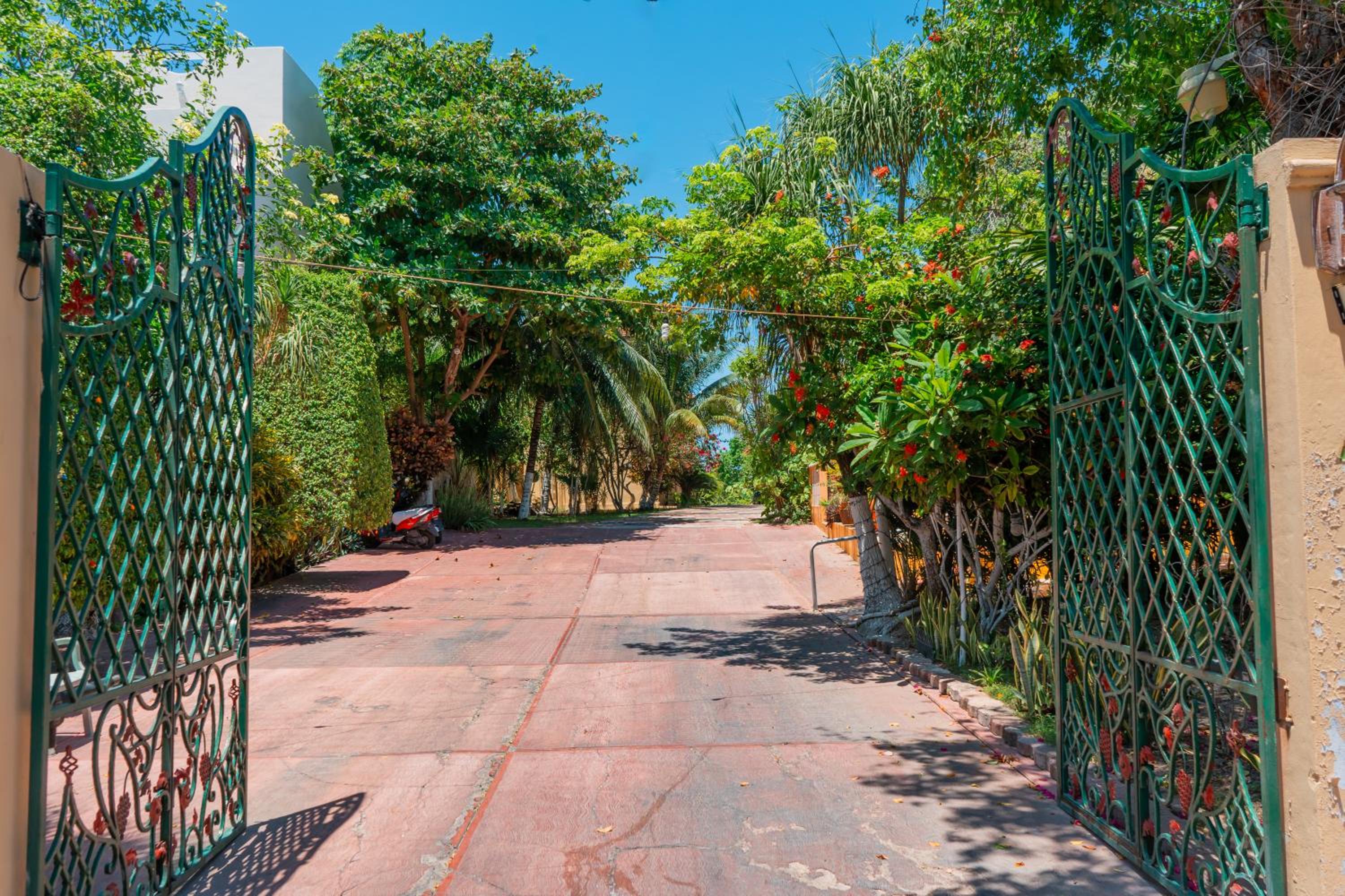 Villa Pajaros, photo 65