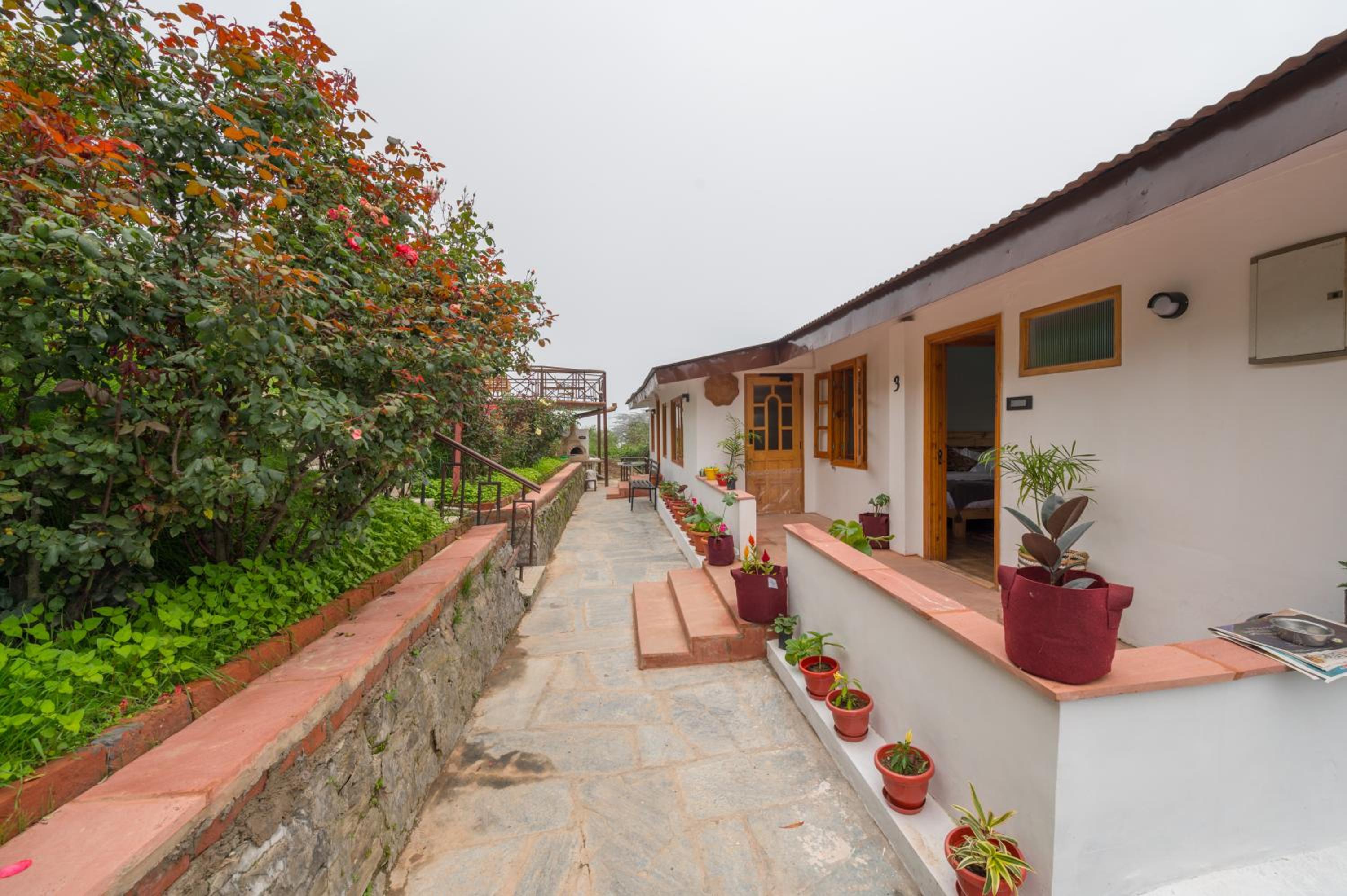 Cedar Hill Lodge - A Boutique Homestay view 3