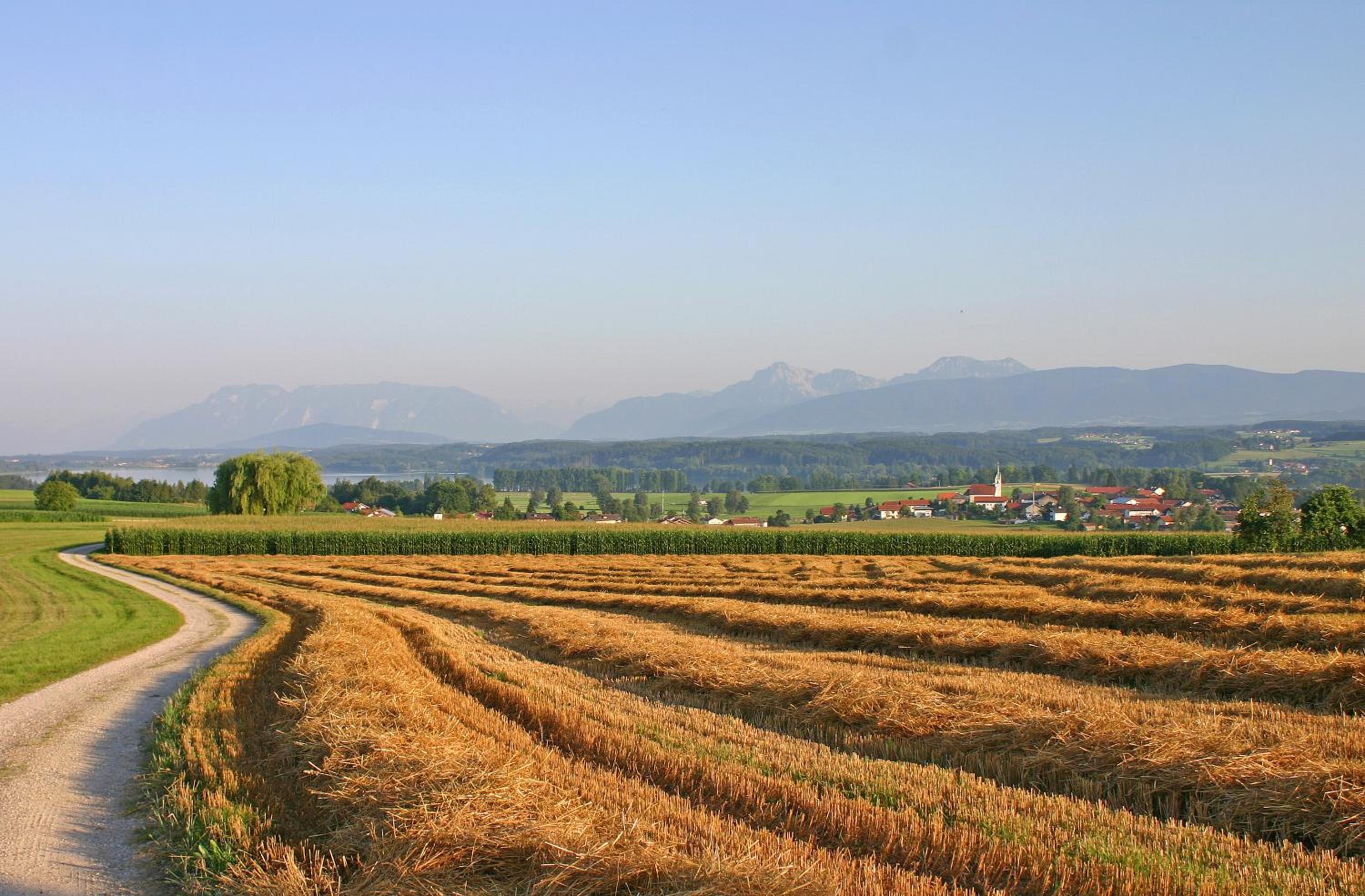 Ferienwohnung Alpenblick