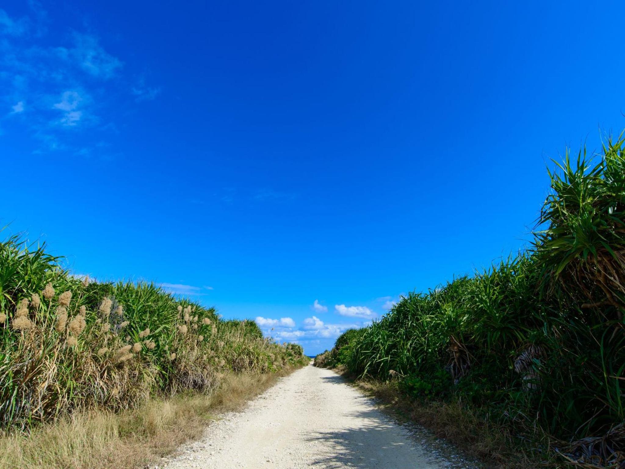 Photo 45