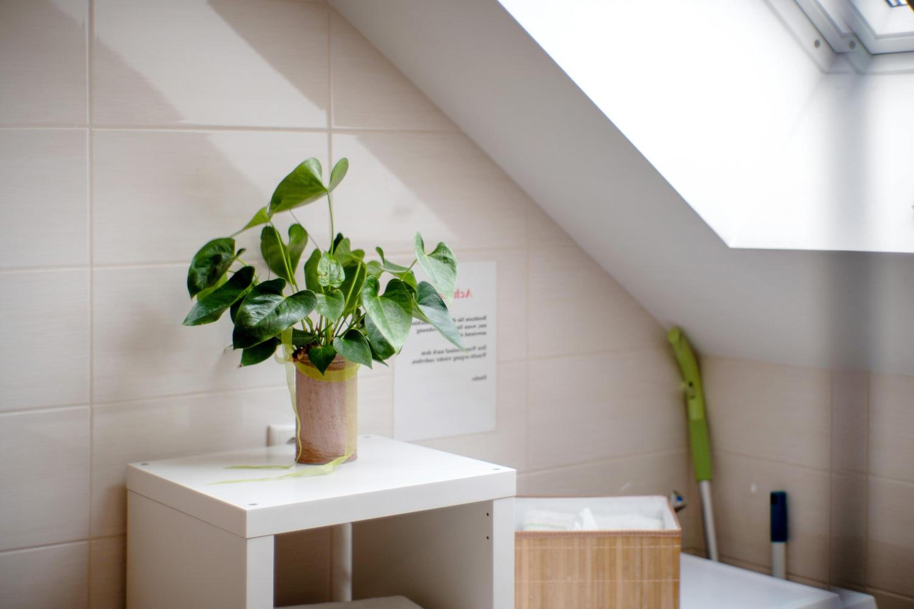 Appartement Rosi