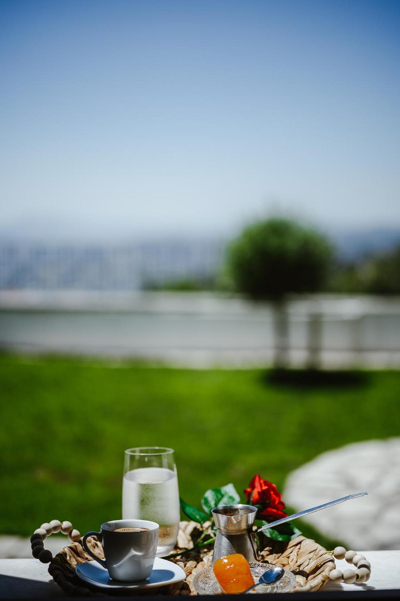 Panoramic View Villa