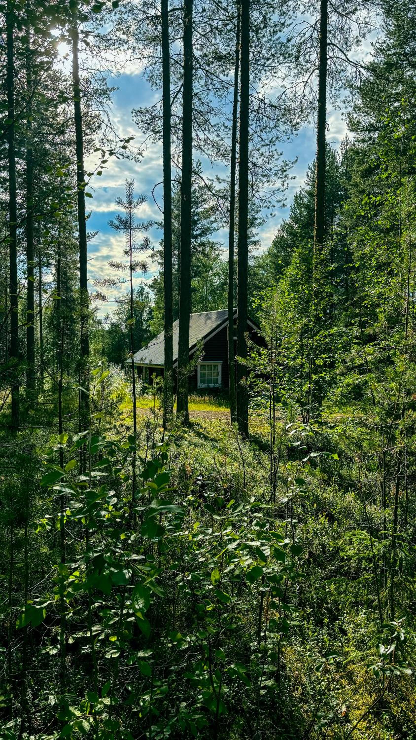 Photo 43