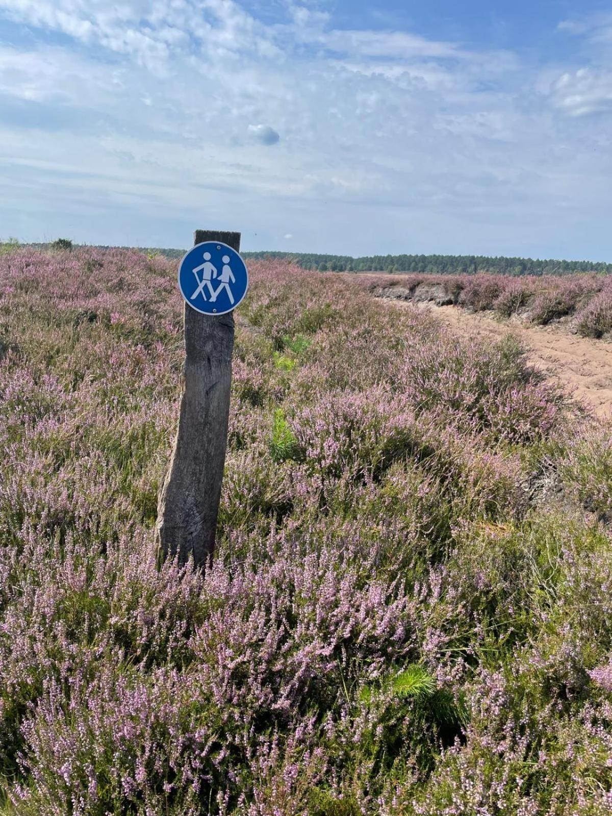 Holiday in der Lüneburger Heide