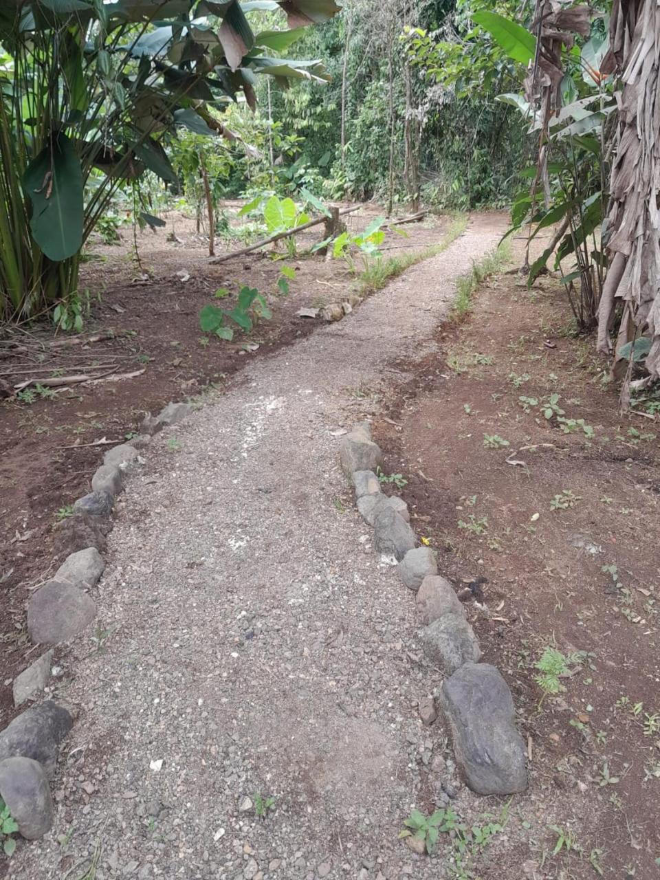 Cabinas Corcovado Green Parrot, Los Planes Drake