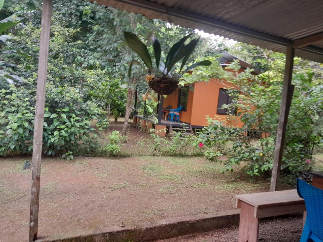 Cabinas Corcovado Green Parrot, Los Planes Drake
