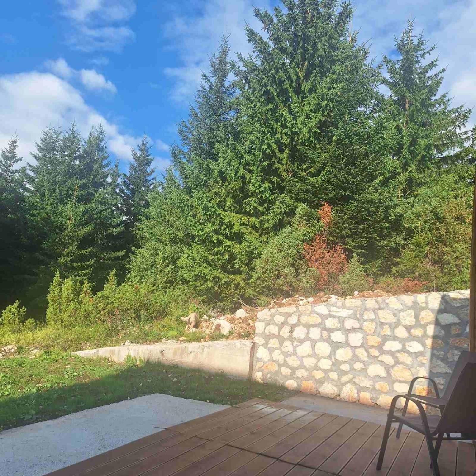 Bungalows Tea Žabljak