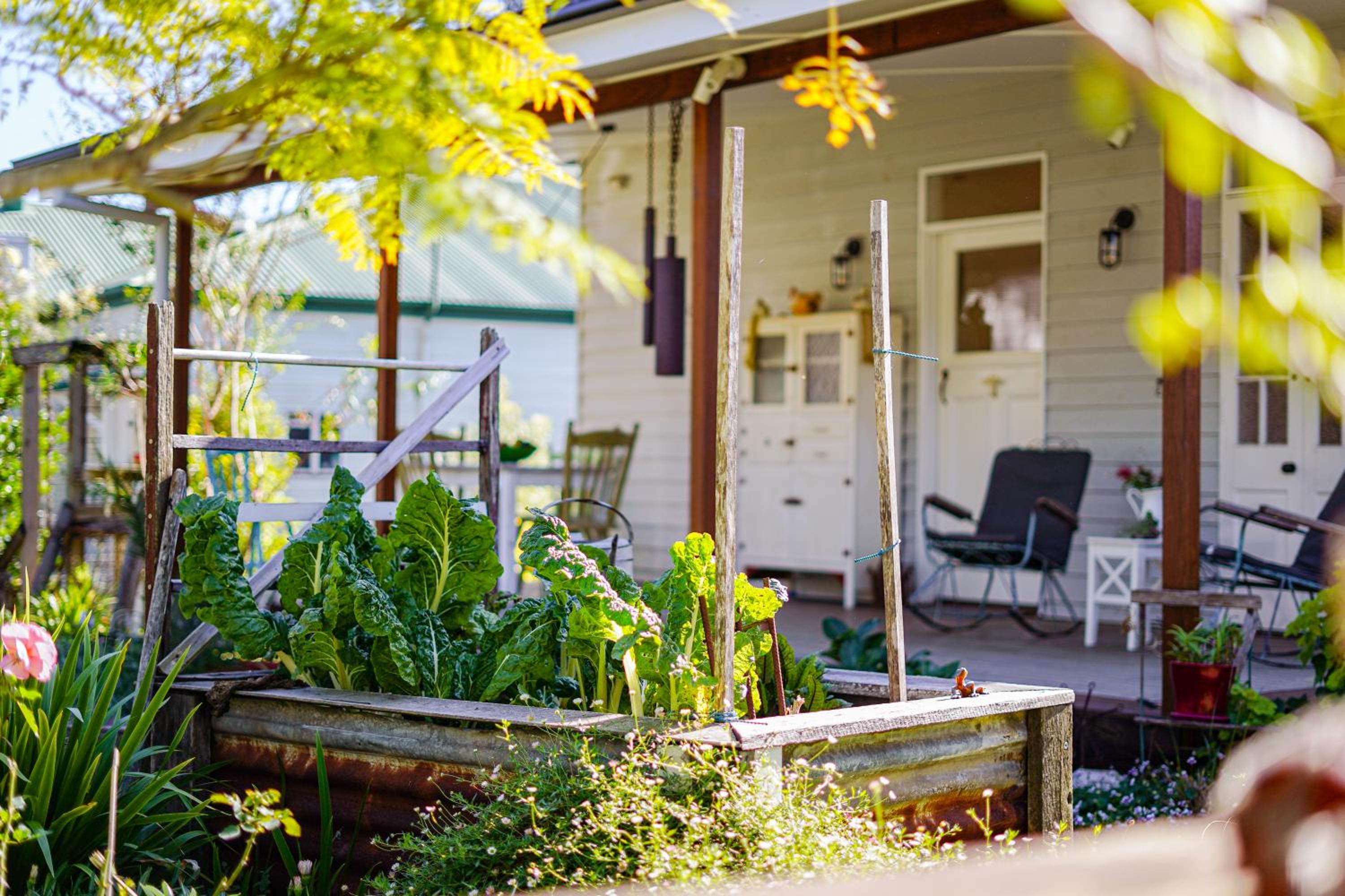 Entire Boutique Home - The Rustic Cottage - Canungra