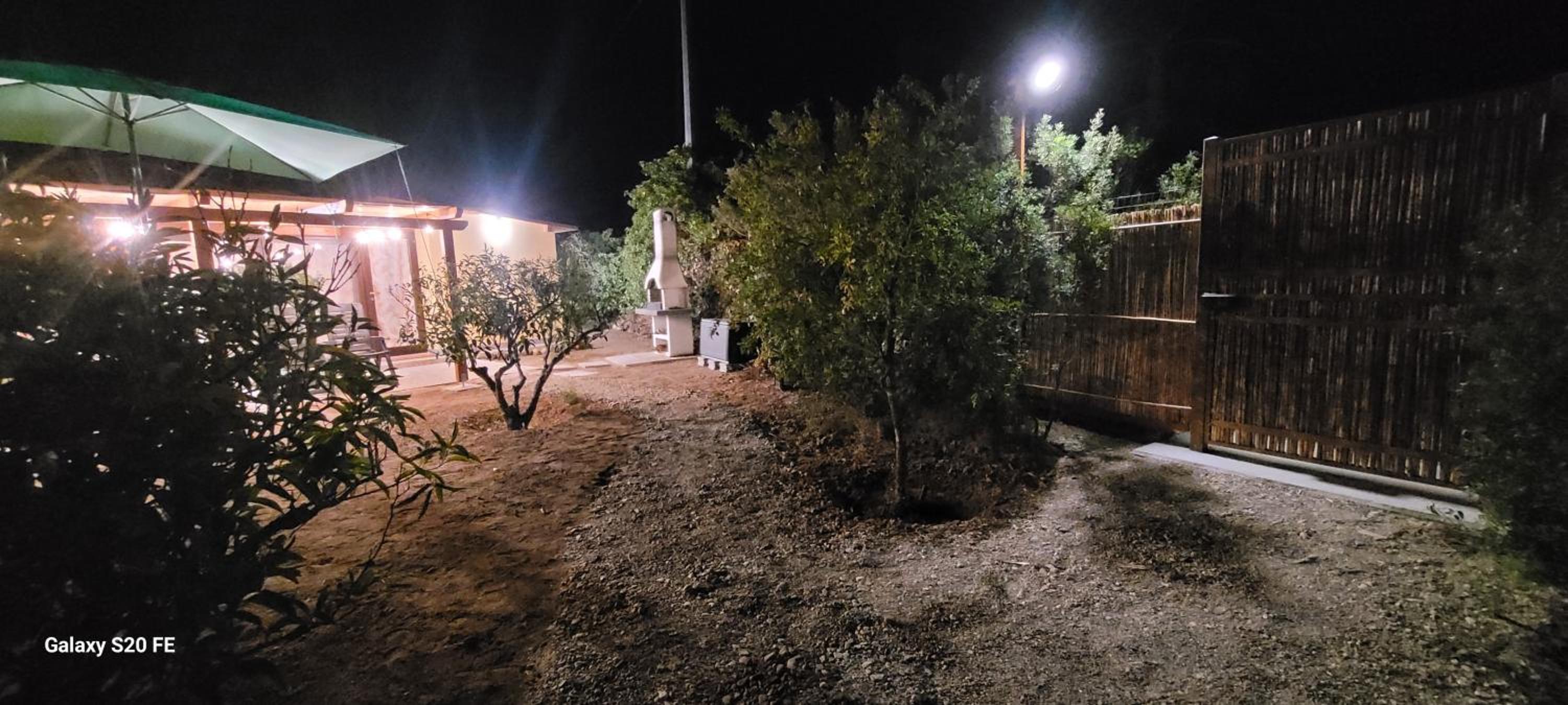 Photo 62