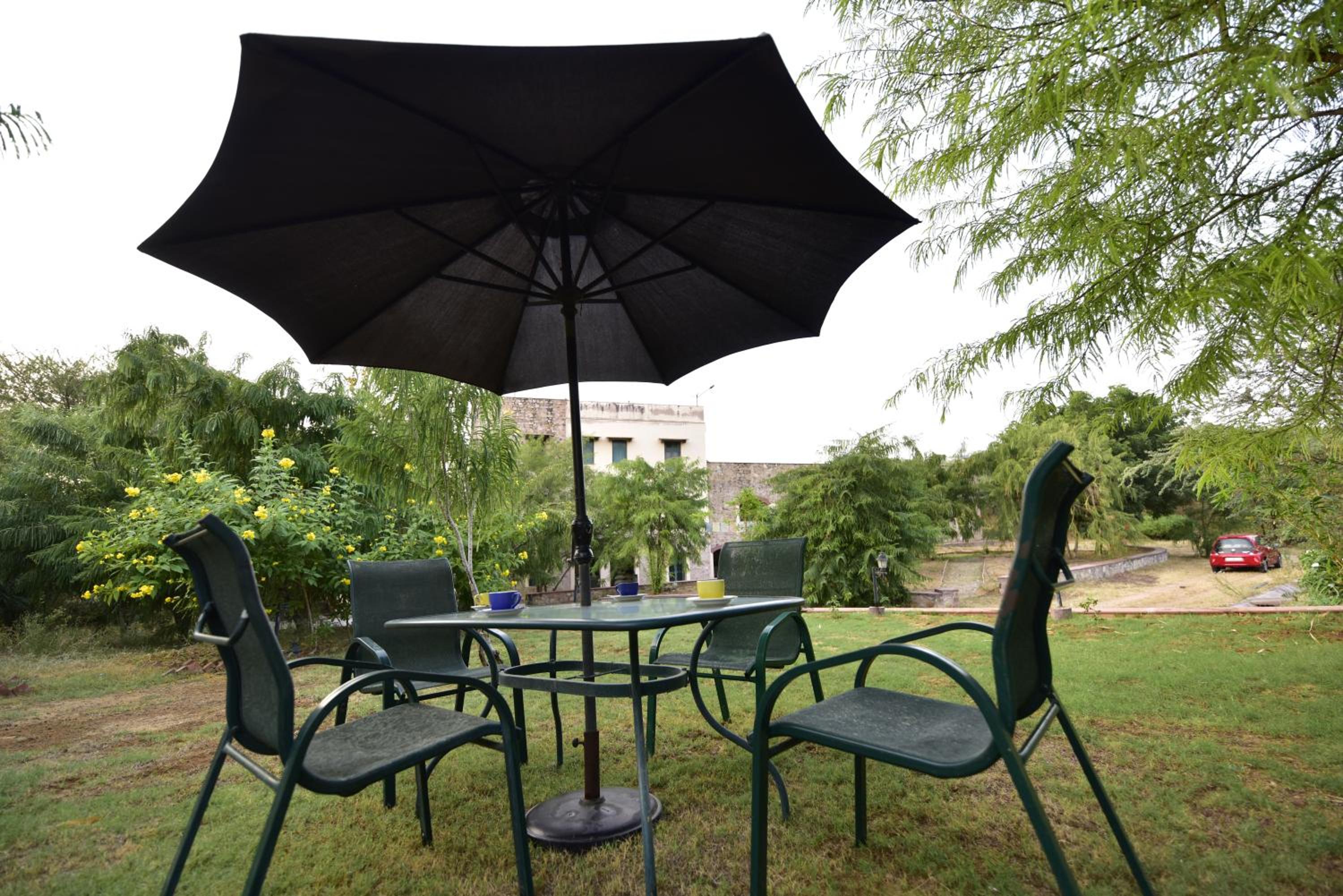 Haveli Anirudh - Royalty Redefined