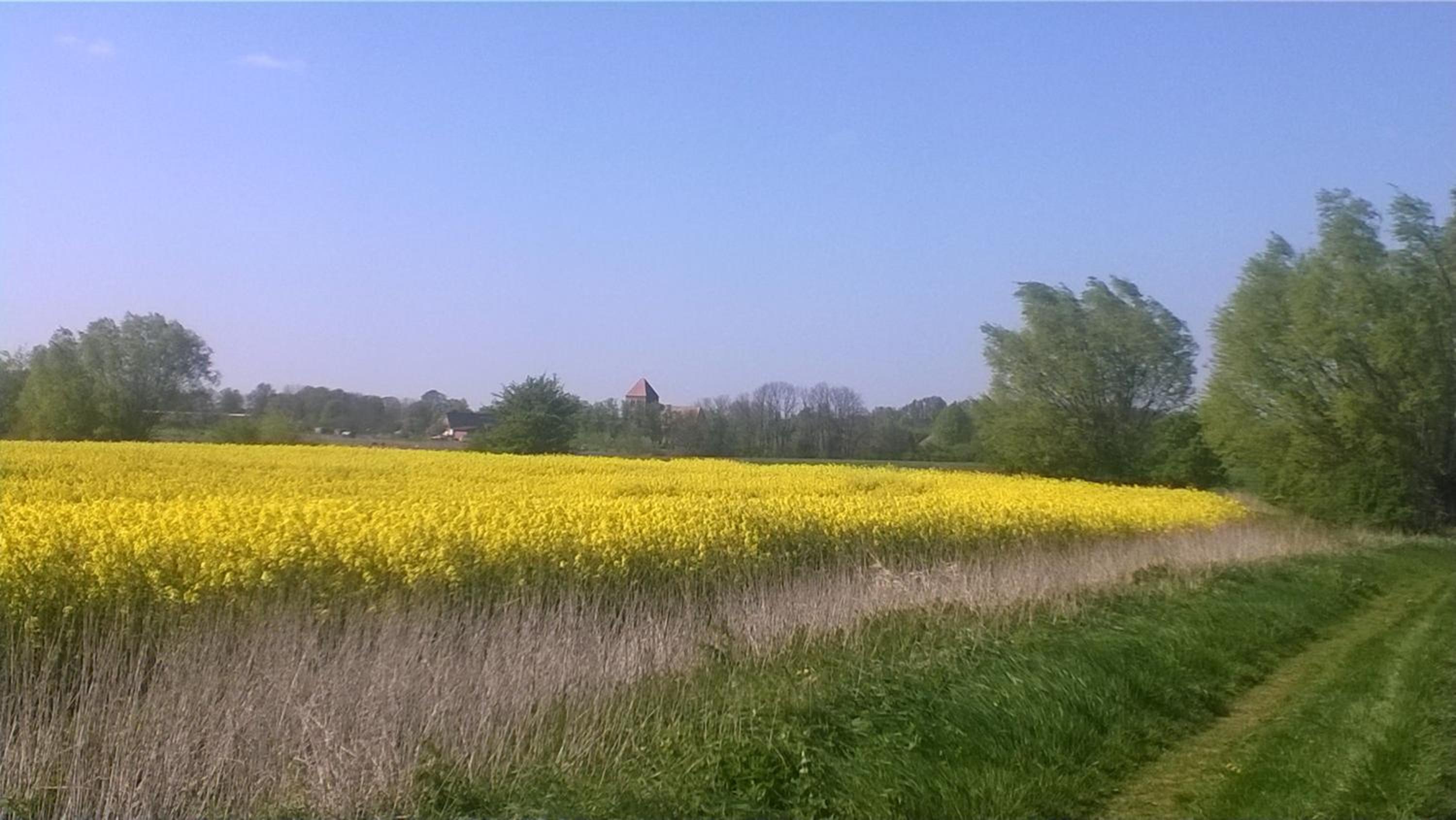 FeWo Alt Bukow nahe Ostseebad Rerik