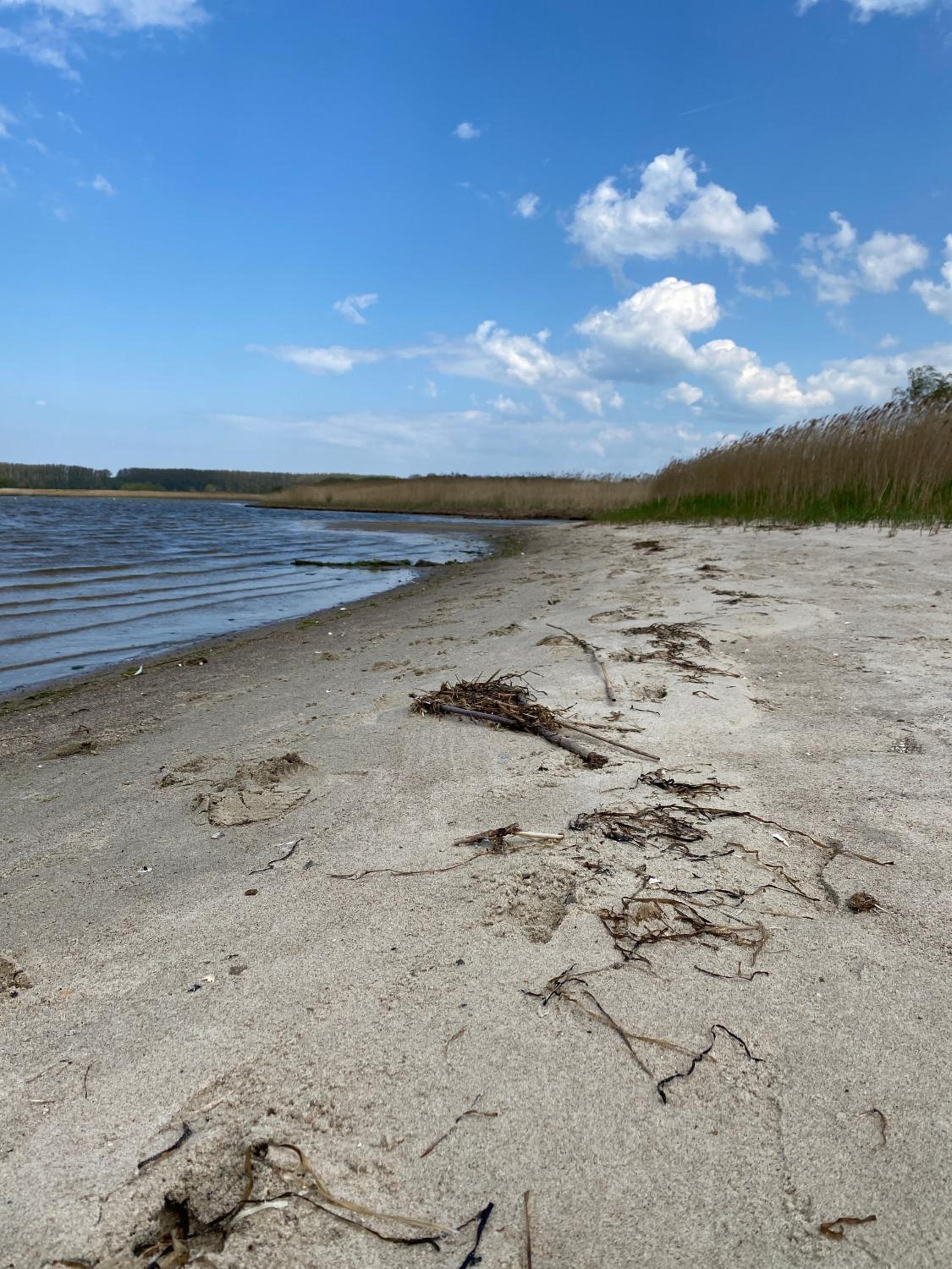 FeWo Alt Bukow nahe Ostseebad Rerik