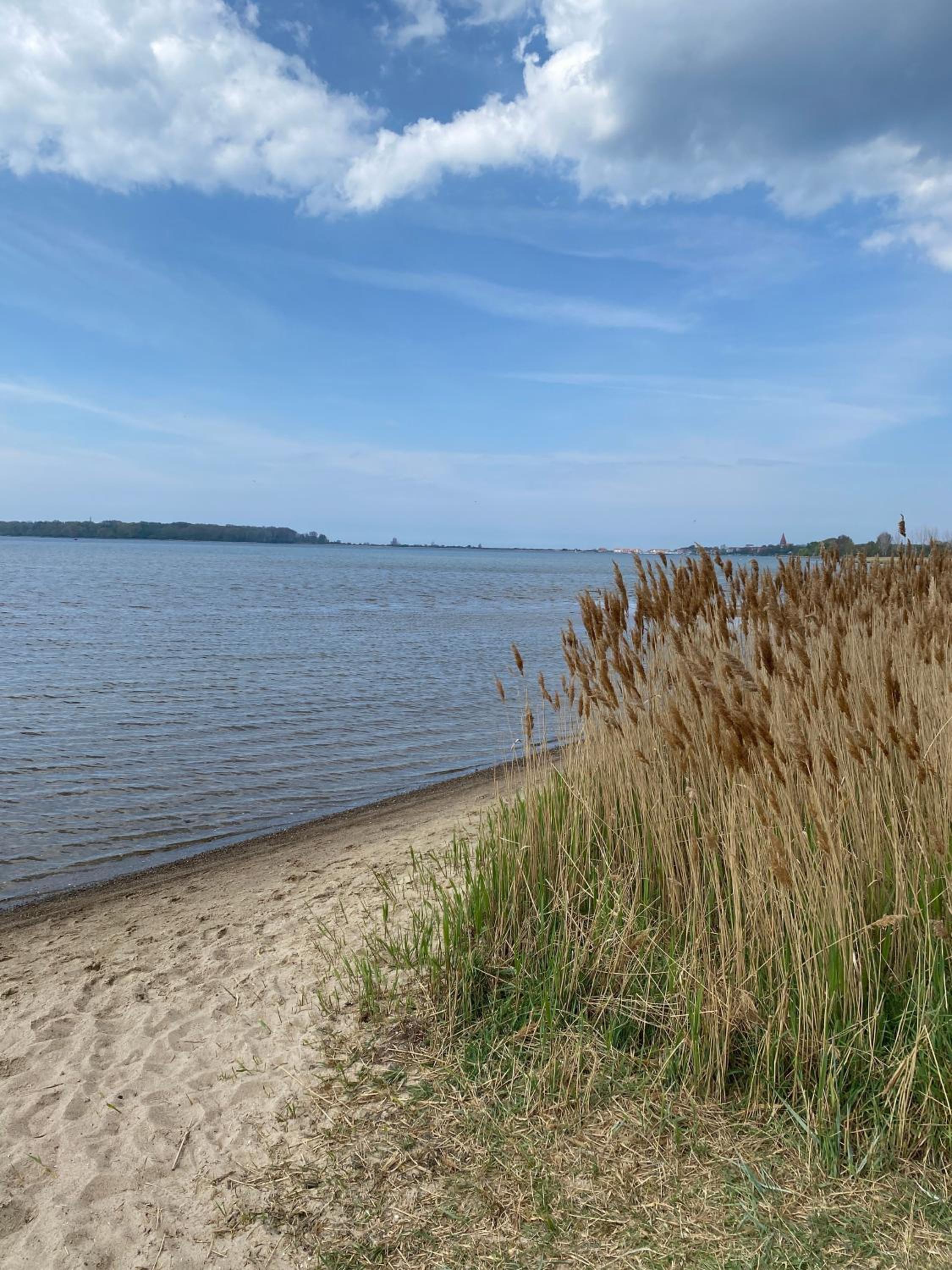 FeWo Alt Bukow nahe Ostseebad Rerik