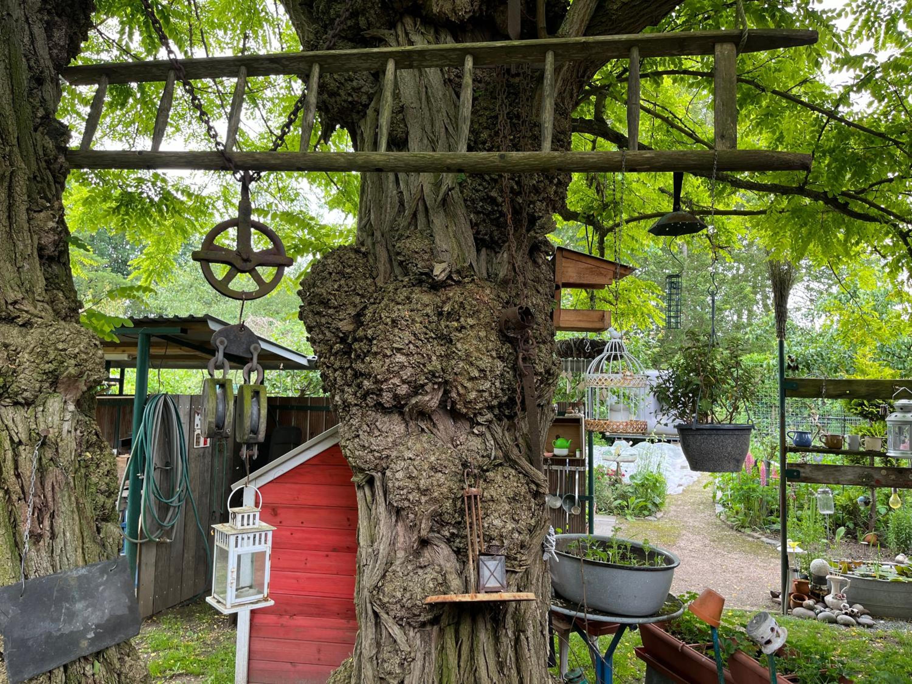 FeWo's am Gutshaus im Ostseeland