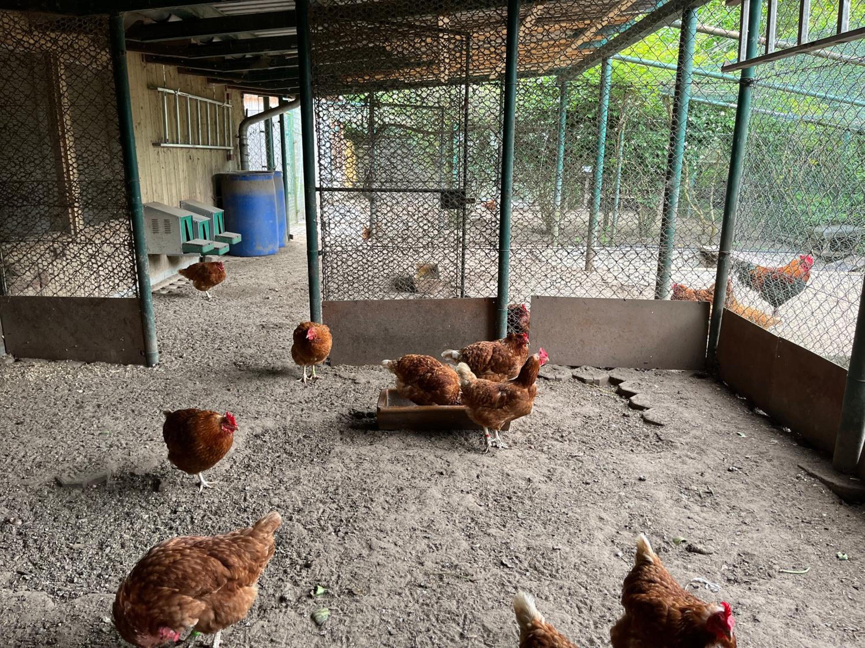 FeWo's am Gutshaus im Ostseeland