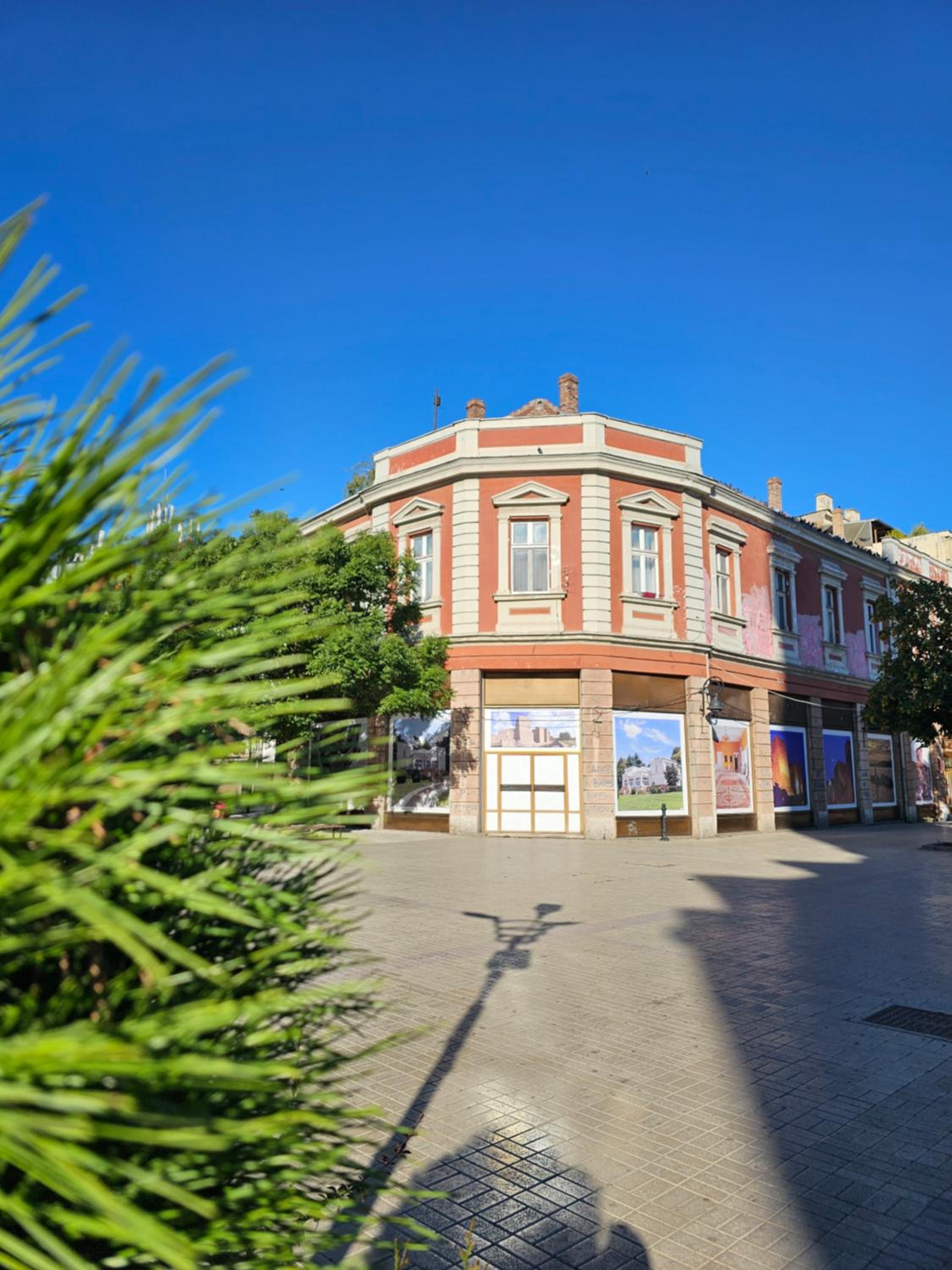 Photo 9