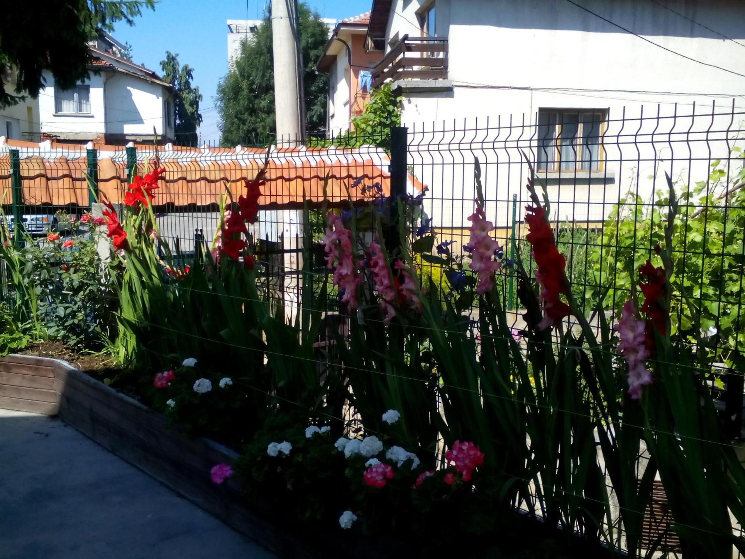 Aleks Guest House